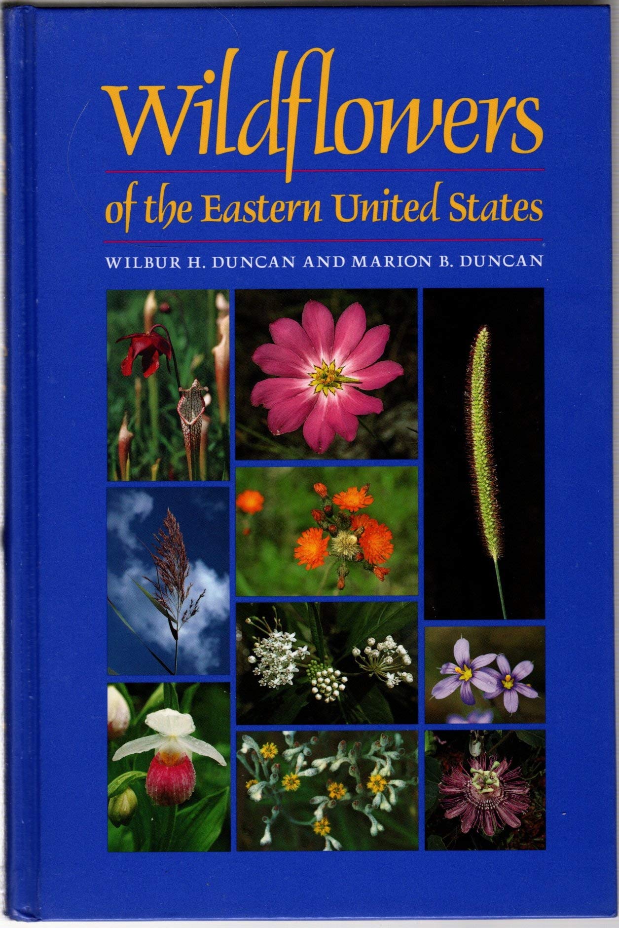 Wildflowers of the Eastern United States (Wormsloe Foundation Publications),Used