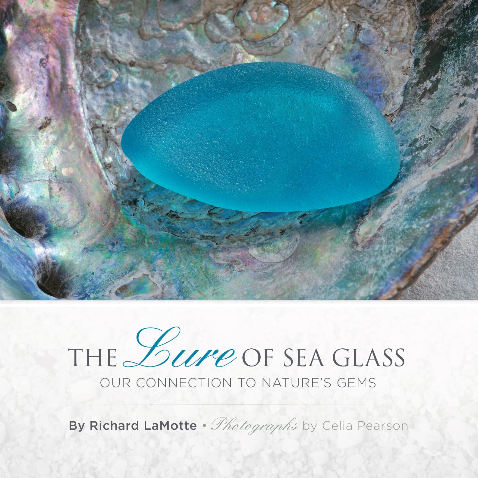 The Lure of Sea Glass: Our Connection to Nature's Gems,Used