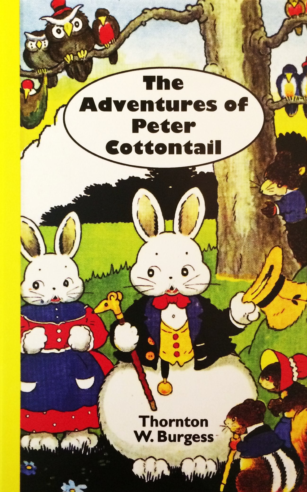 Adventures of Peter Cottontail,Used