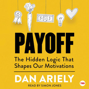 Payoff: The Hidden Logic That Shapes Our Motivations,Used