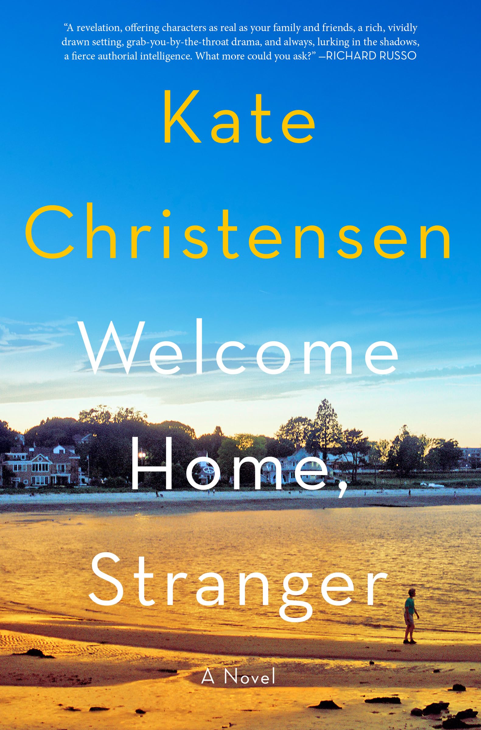 Welcome Home, Stranger: A Novel,Used