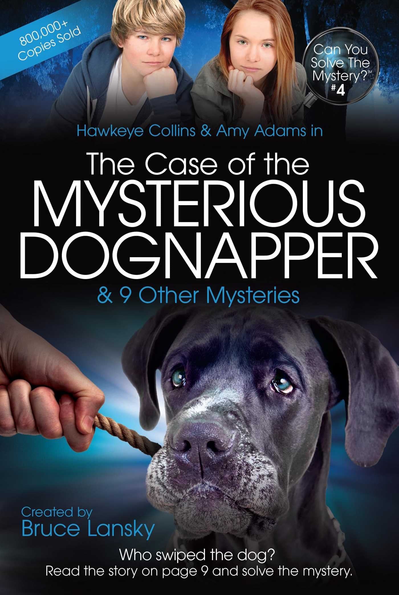 The Case Of The Mysterious Dognapper: Can You Solve The Mystery #4 (4),Used