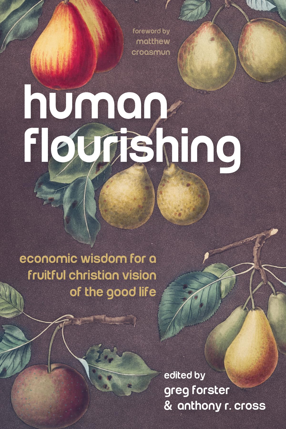 Human Flourishing: Economic Wisdom for a Fruitful Christian Vision of the Good Life,Used