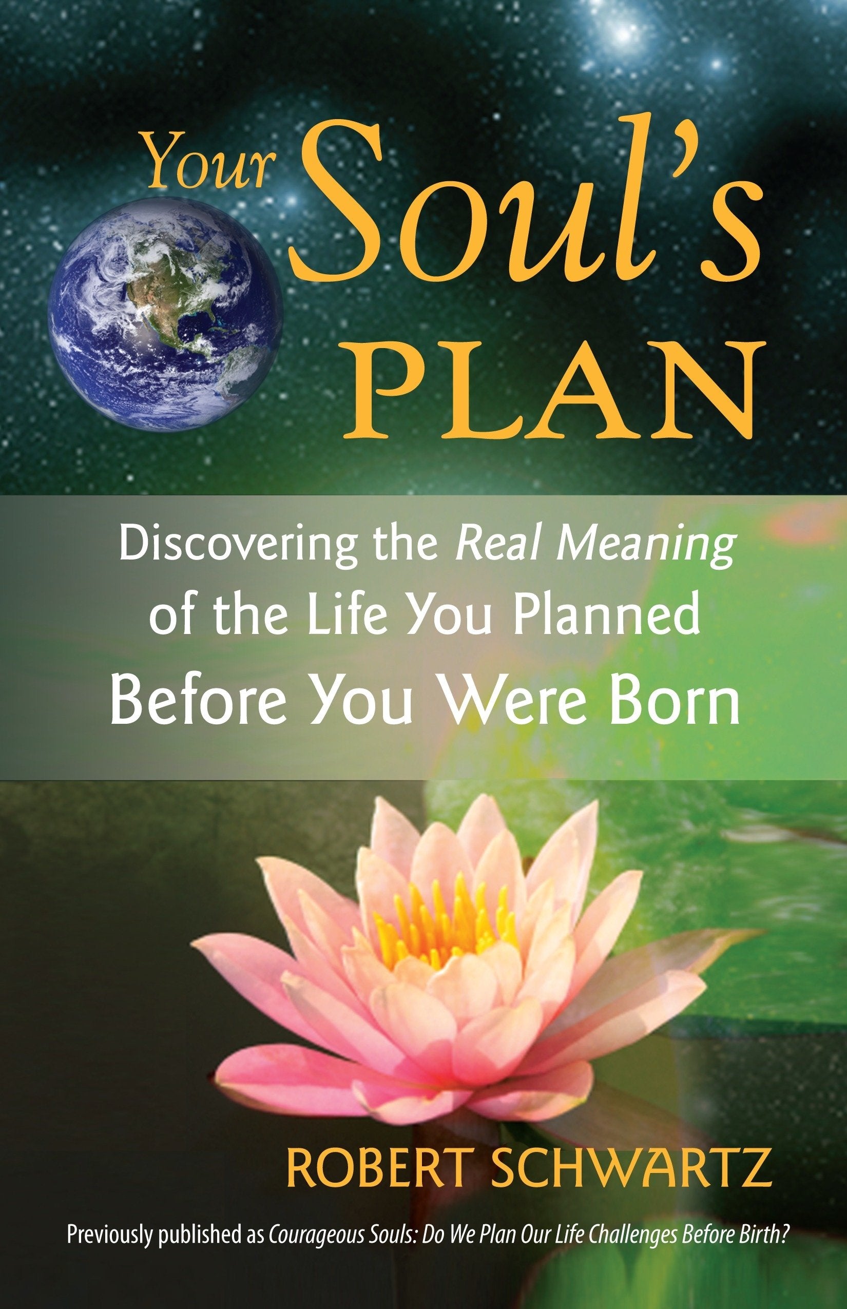 Your Soul'S Plan: Discovering The Real Meaning Of The Life You Planned Before You Were Born