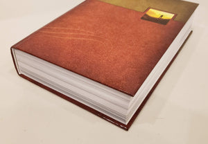 Celebrate Recovery Bible, New International Version