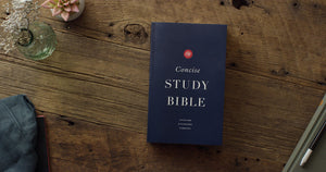 ESV Concise Study Bible, Economy Edition (Paperback),Used