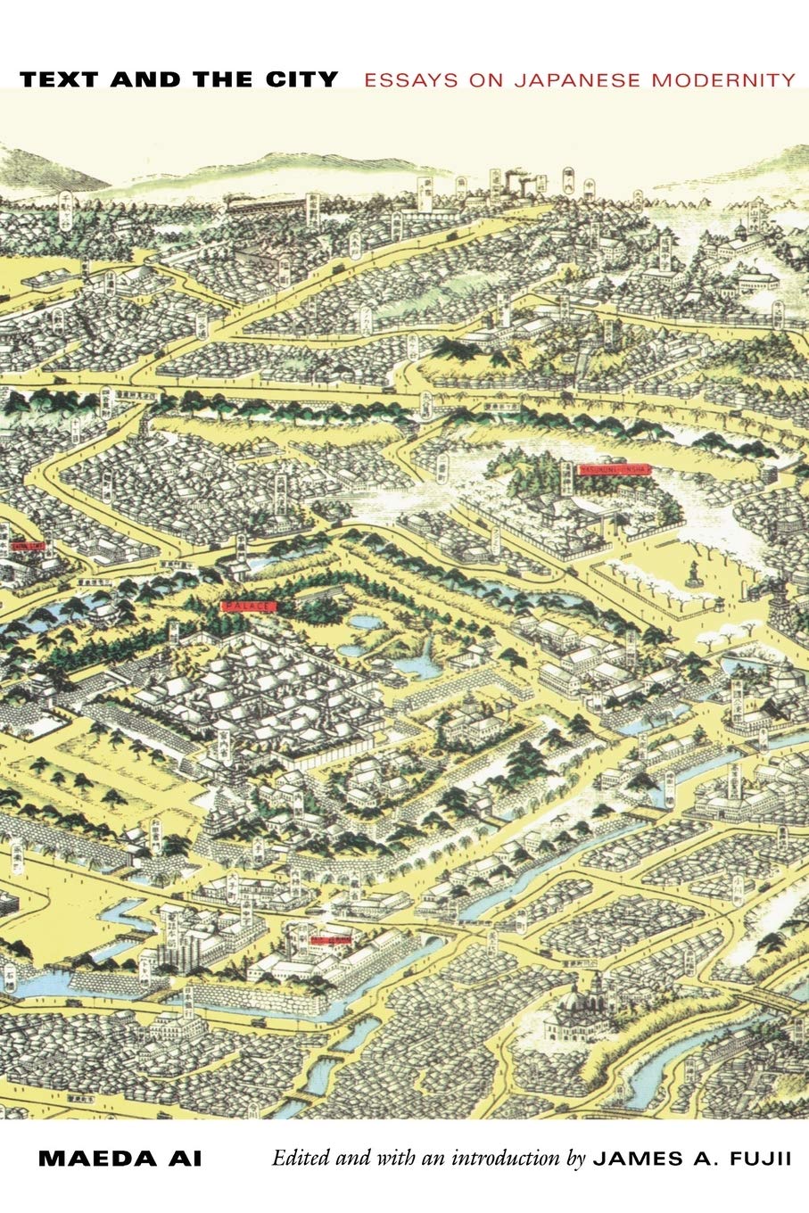 Text And The City: Essays On Japanese Modernity (Asiapacific: Culture, Politics, And Society),New