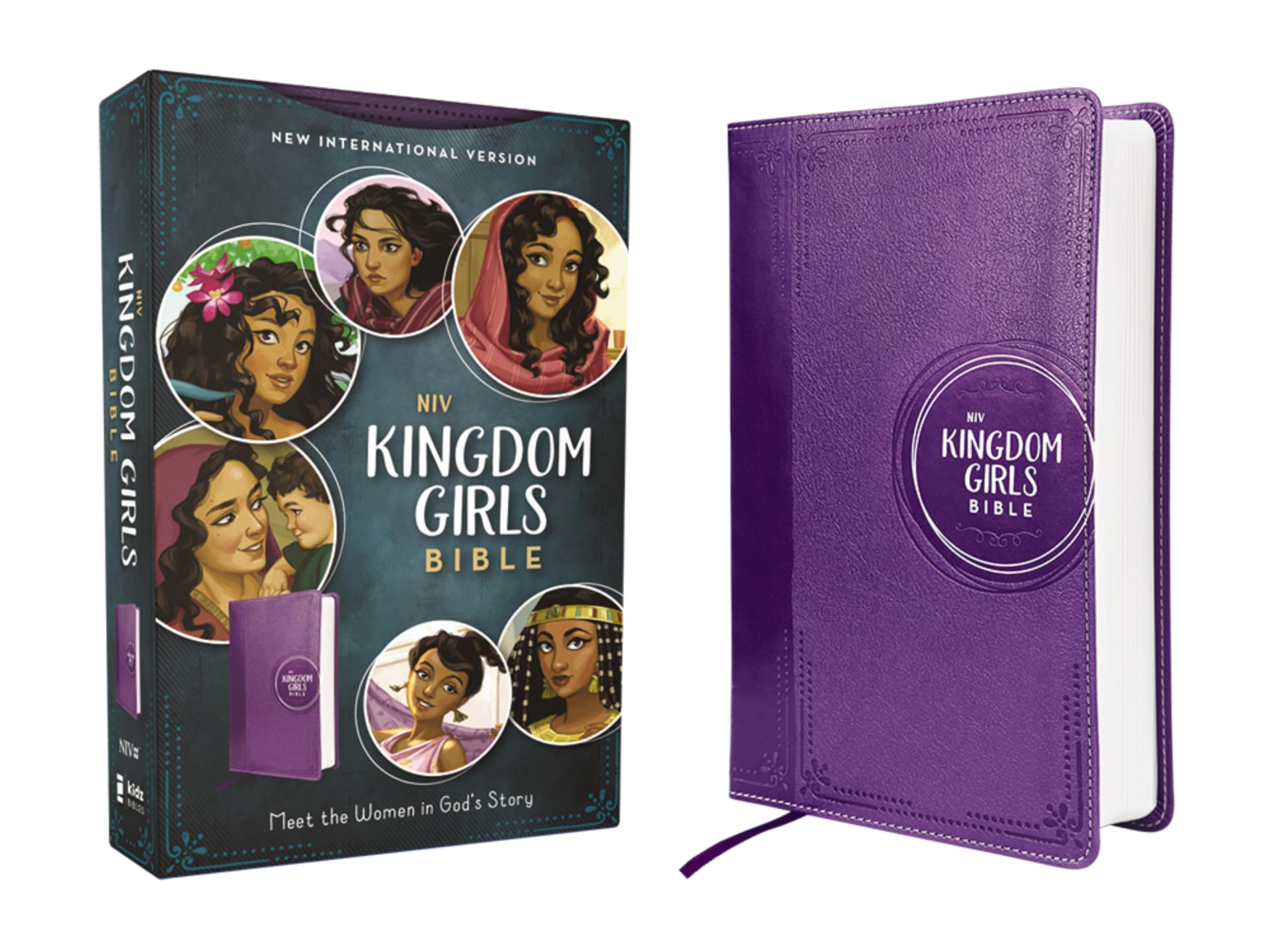 Niv, Kingdom Girls Bible, Full Color, Leathersoft, Purple, Comfort Print: Meet The Women In God'S Story,Used