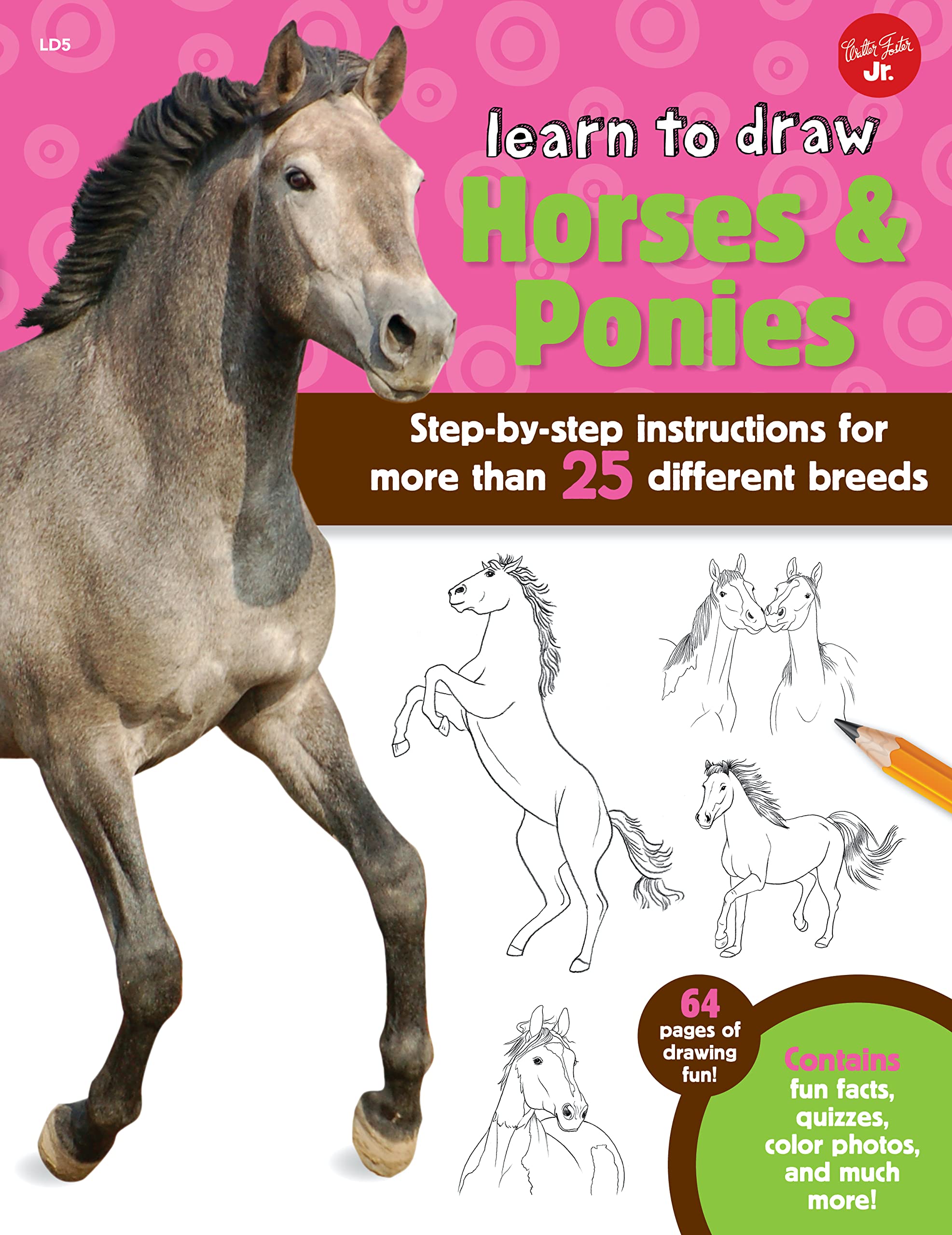 Learn To Draw Horses & Ponies
