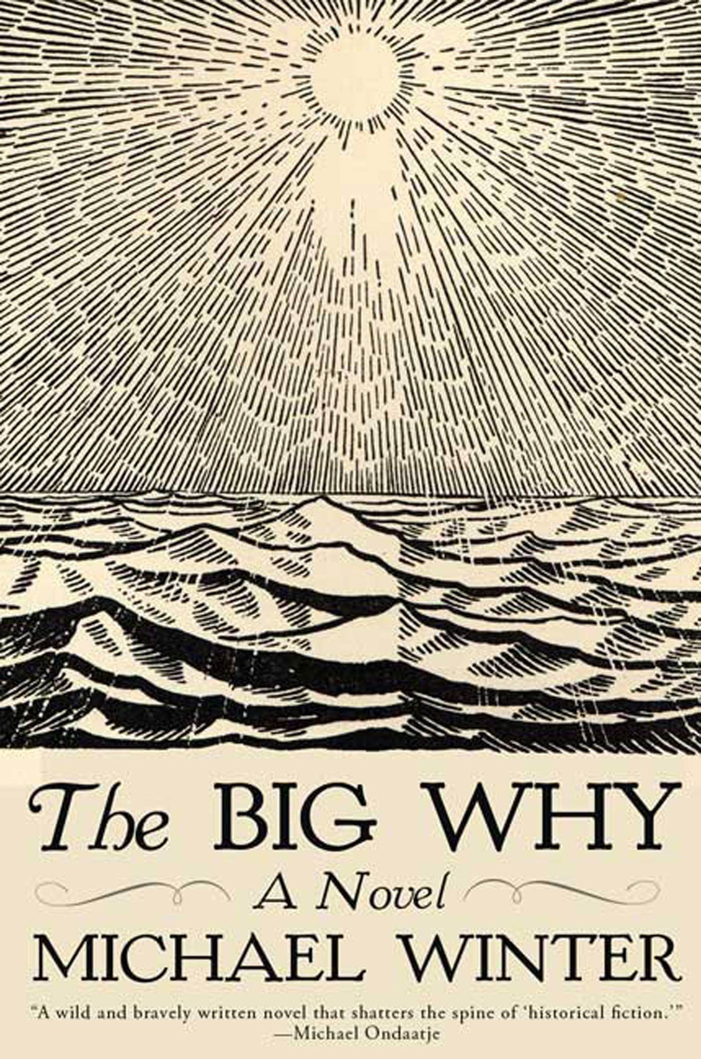 The Big Why: A Novel