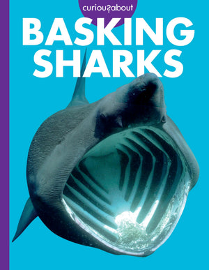 Curious About Basking Sharks