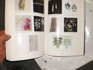 Trees of Georgia and Adjacent States,New