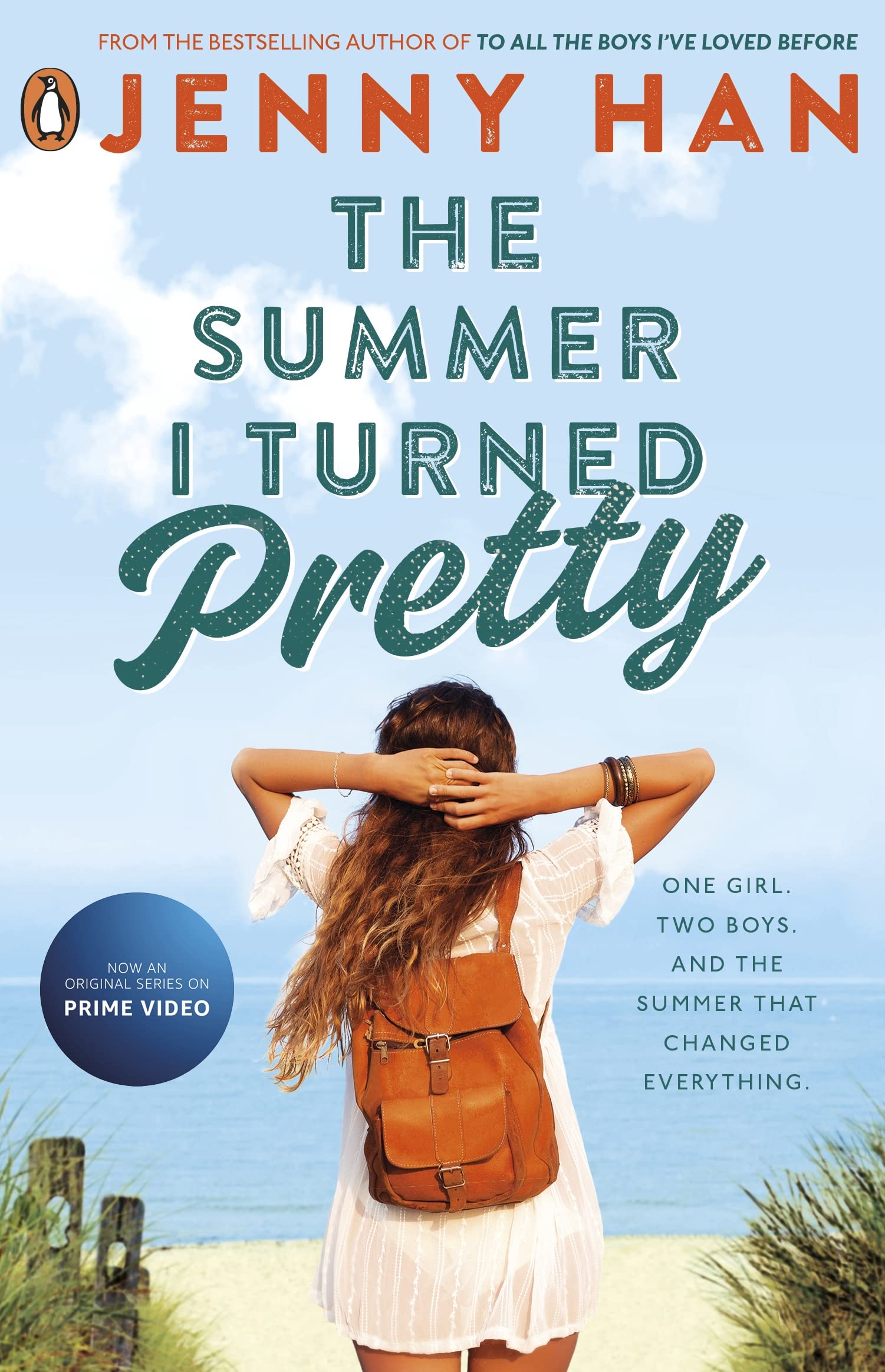 Summer I Turned Pretty,Used