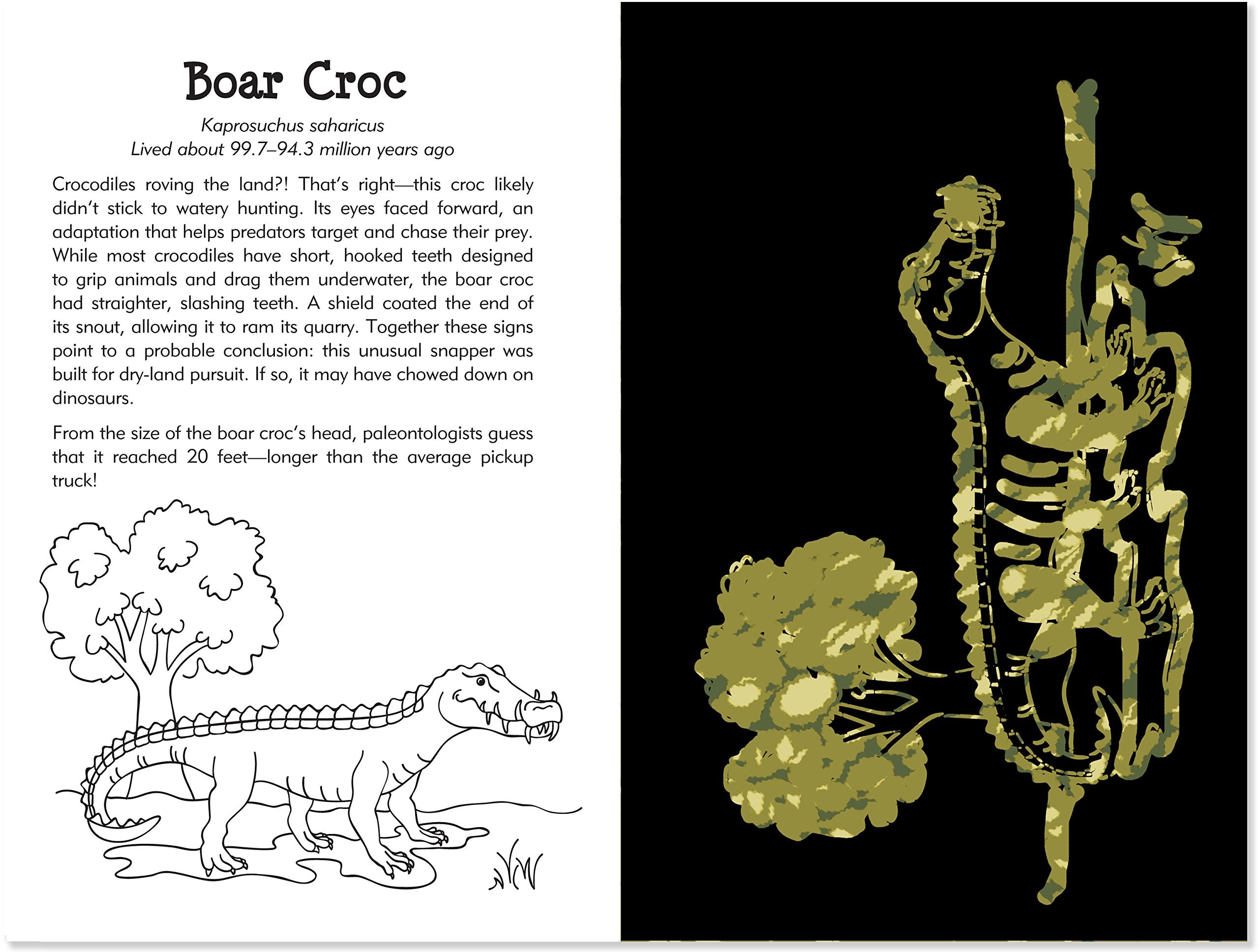 Prehistoric Animals Scratch & Sketch,Used