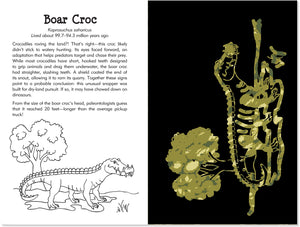 Prehistoric Animals Scratch & Sketch,Used