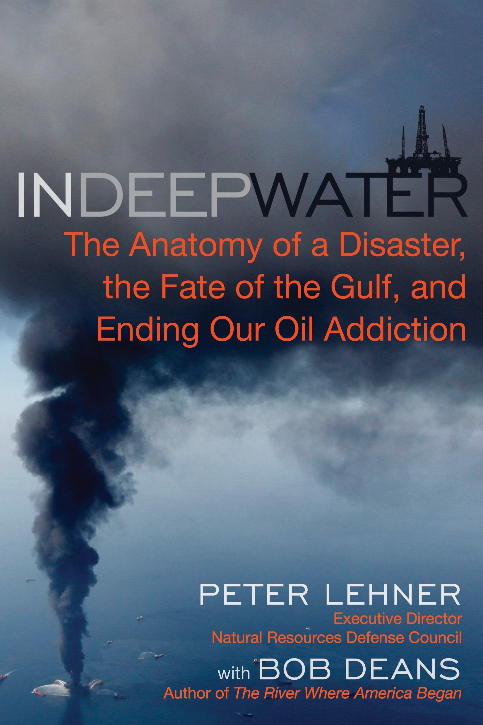 In Deep Water: The Anatomy Of A Disaster, The Fate Of The Gulf, And Ending Our Oil Addiction