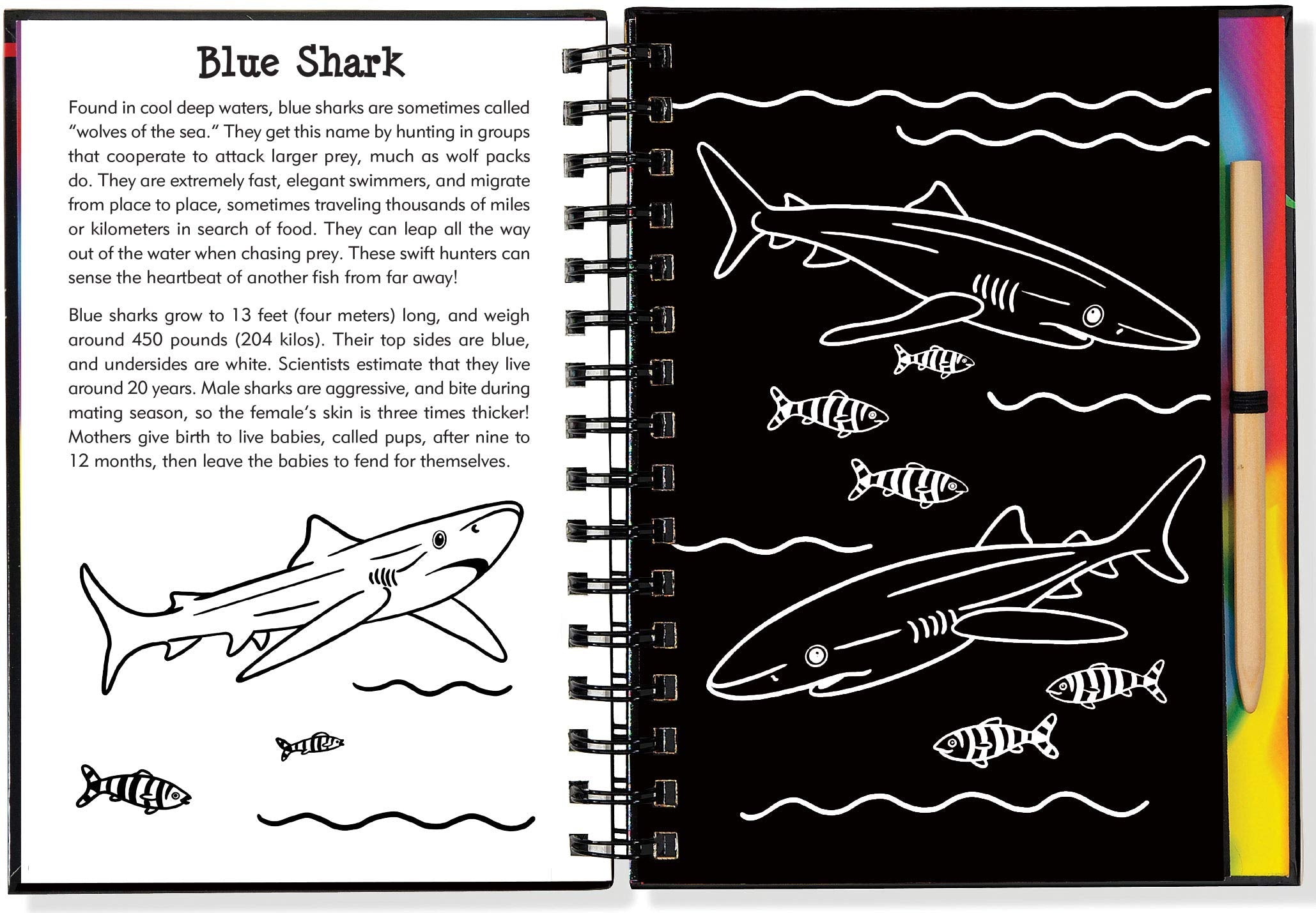 Scratch & Sketch Sharks (Trace Along),Used