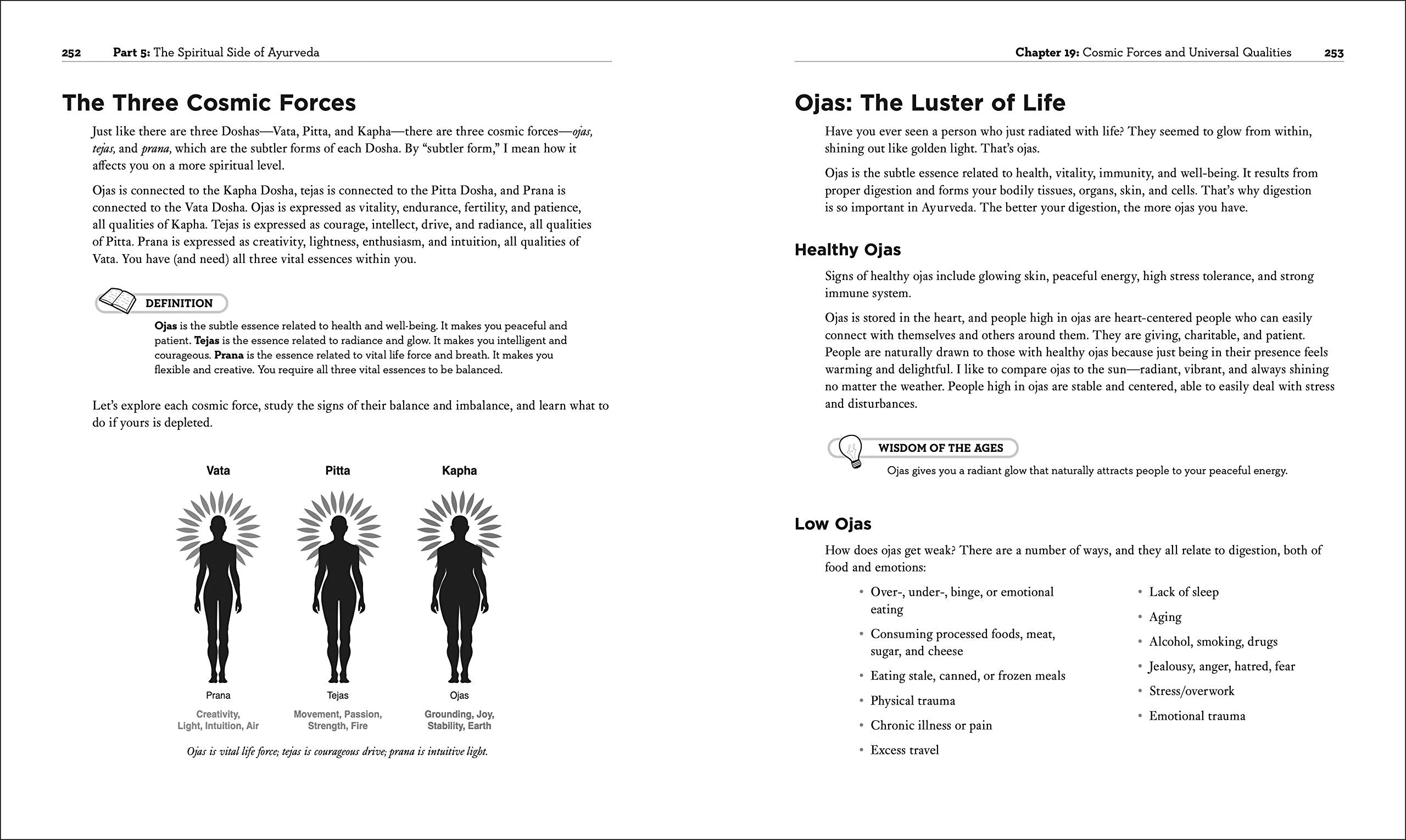 Ayurveda (Idiot'S Guides)