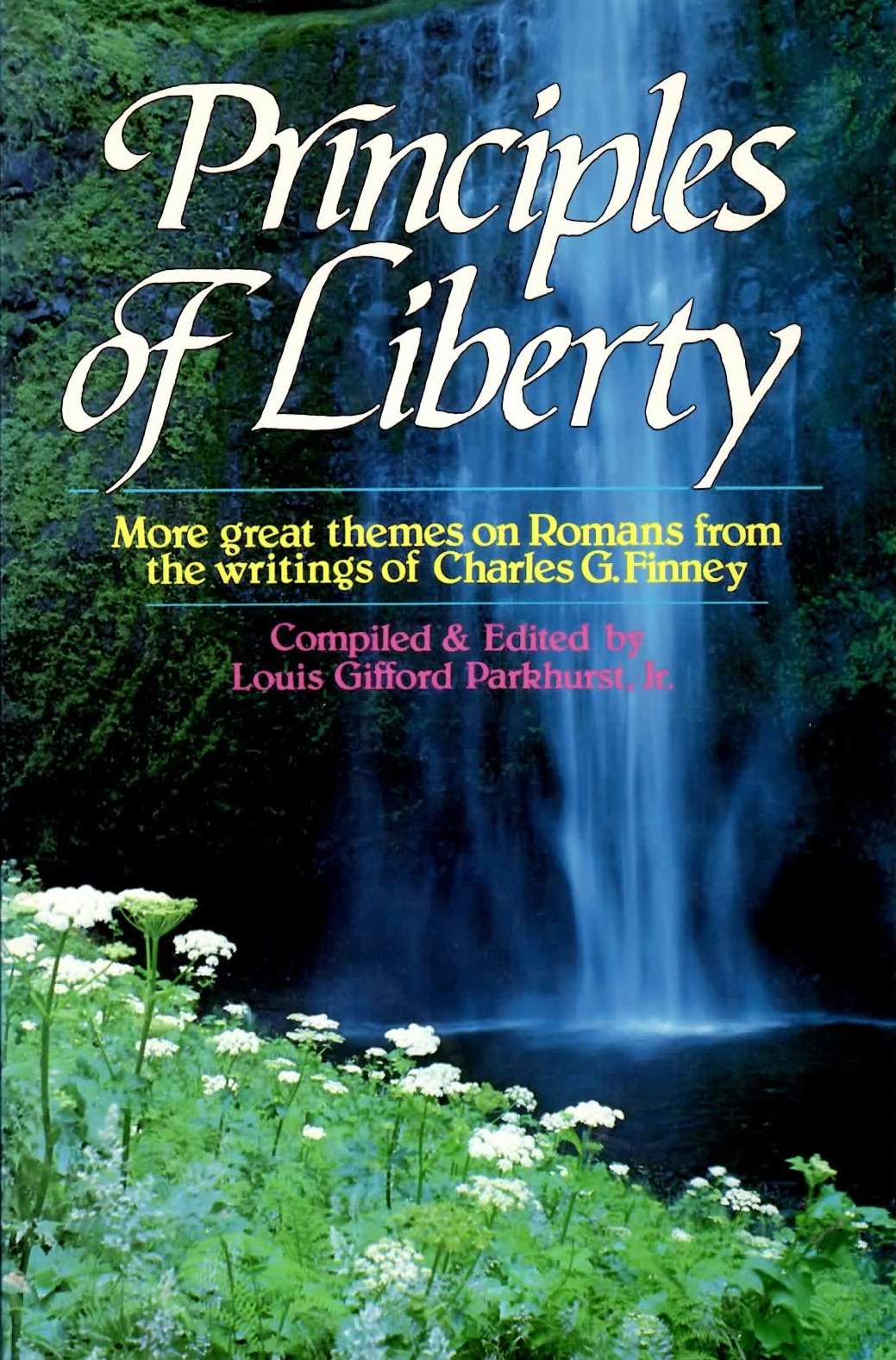 Principles of Liberty,Used