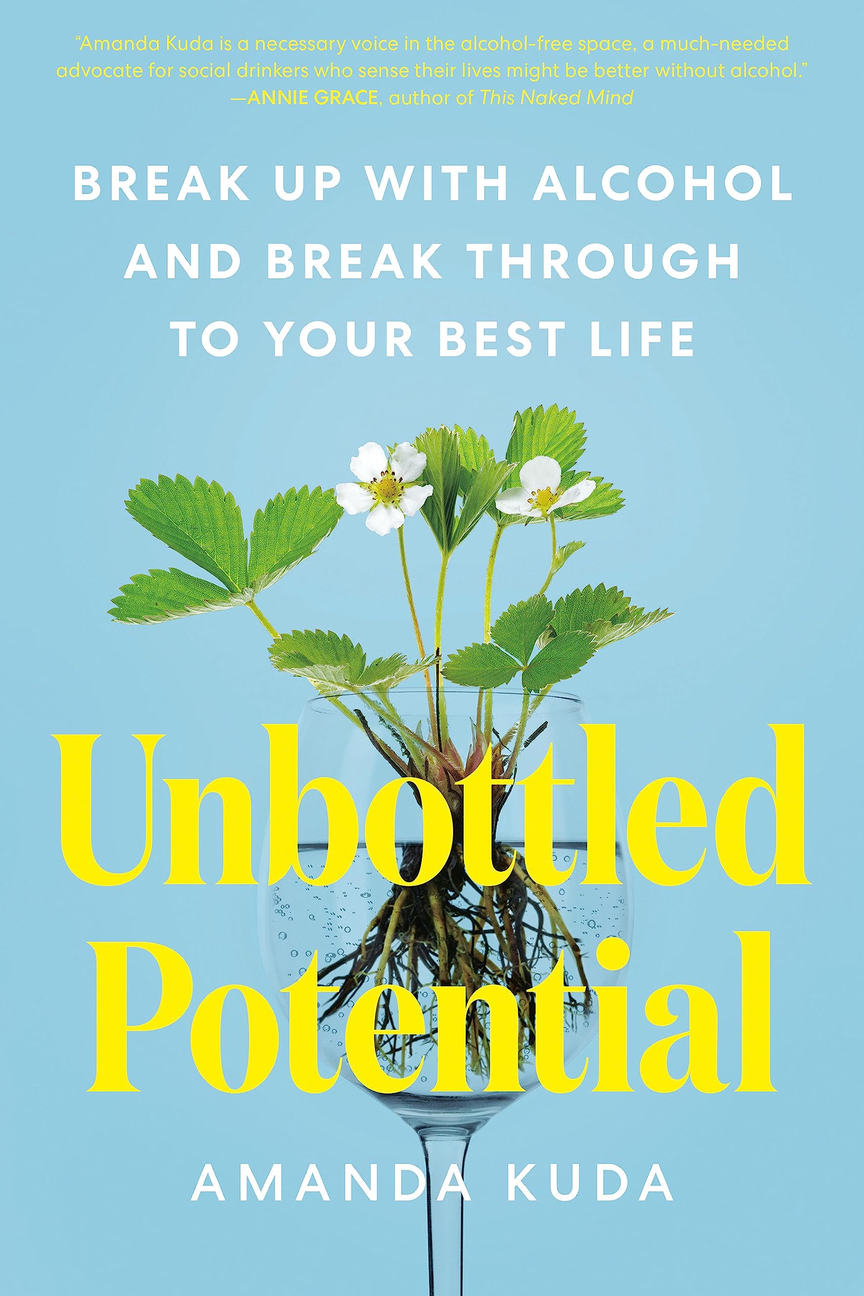 Unbottled Potential: Break Up With Alcohol And Break Through To Your Best Life,Used