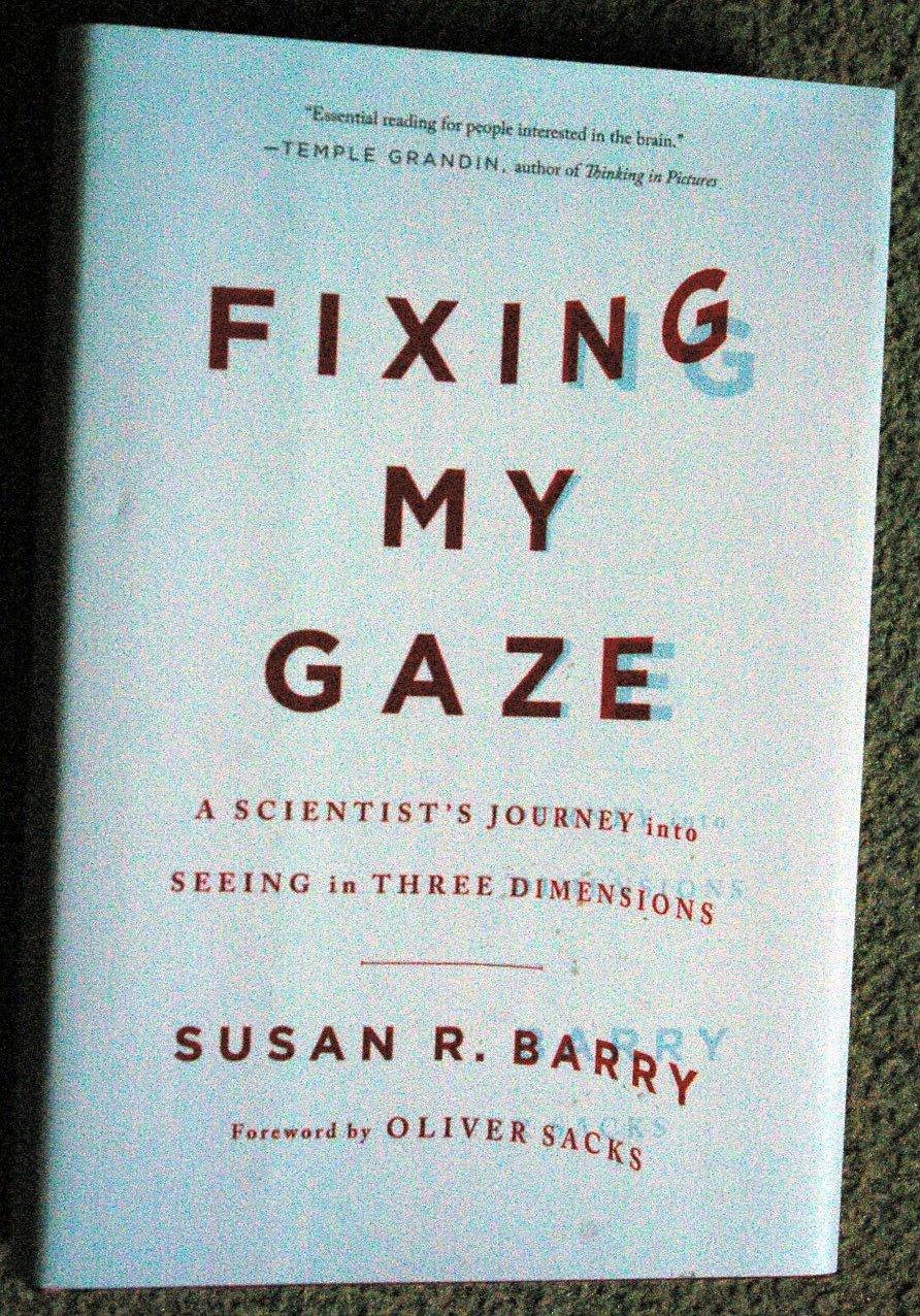 Fixing My Gaze: A Scientists Journey Into Seeing In Three Dimensions-new