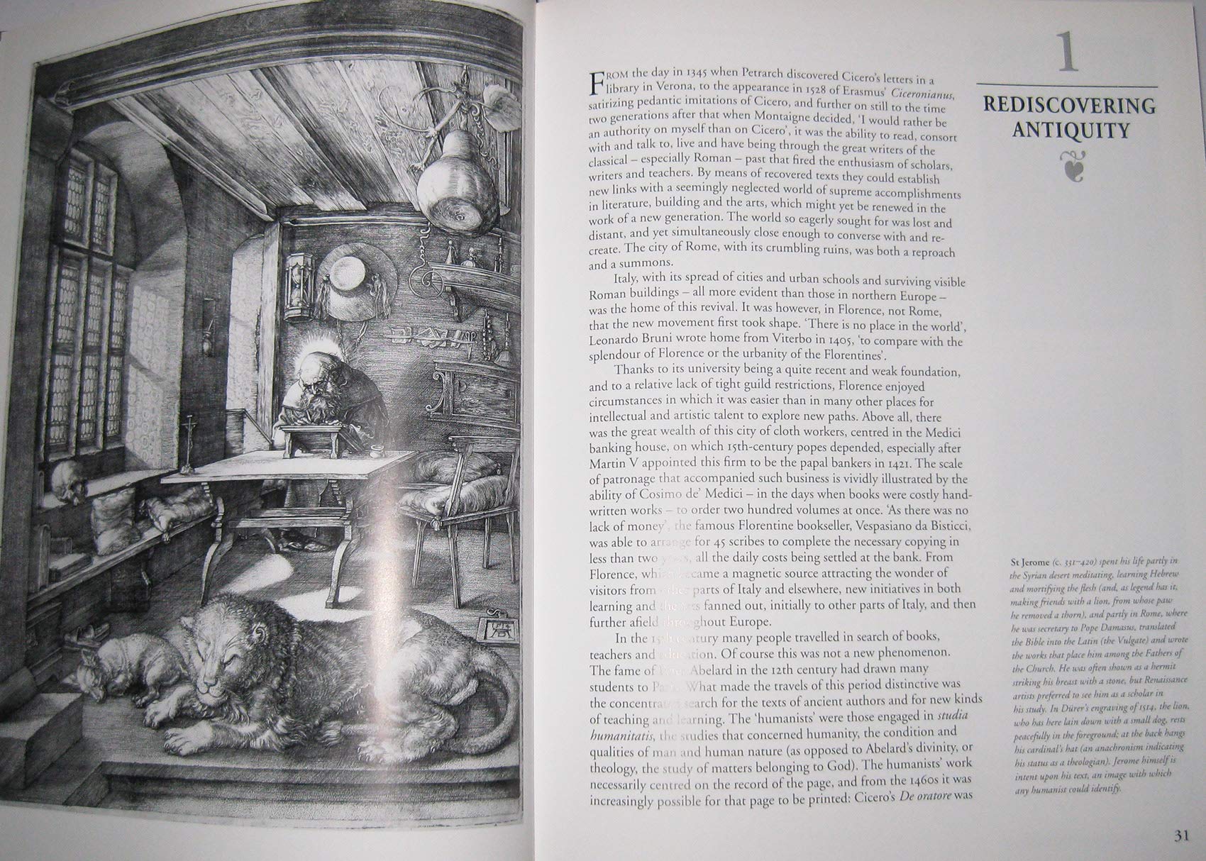 The Panorama Of The Renaissance-used