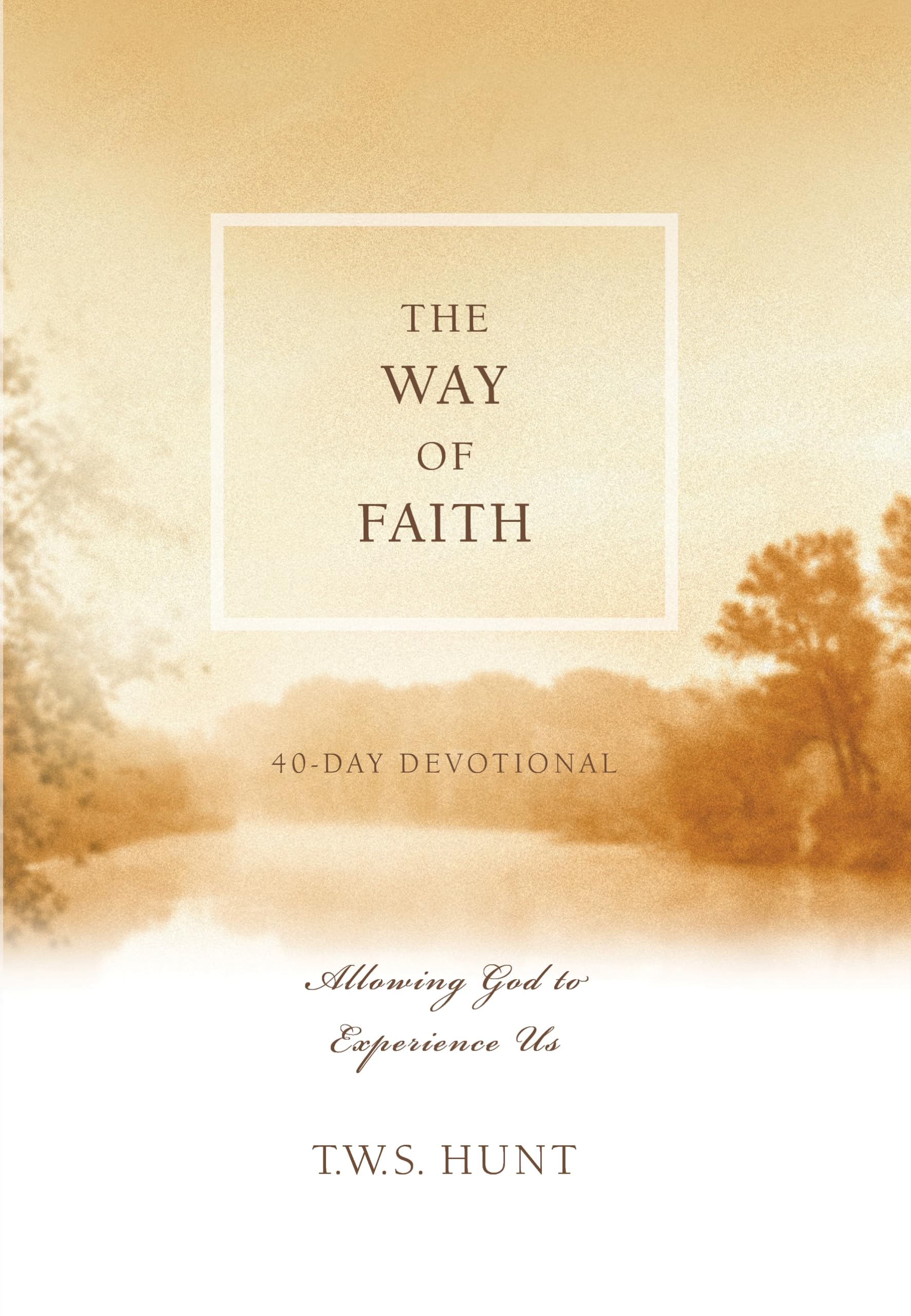 The Way of Faith: Allowing God to Experience Us,Used