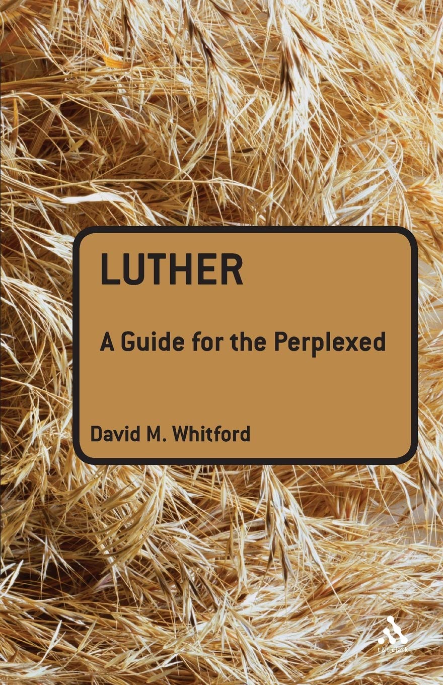 Luther: A Guide for the Perplexed (Guides for the Perplexed),Used