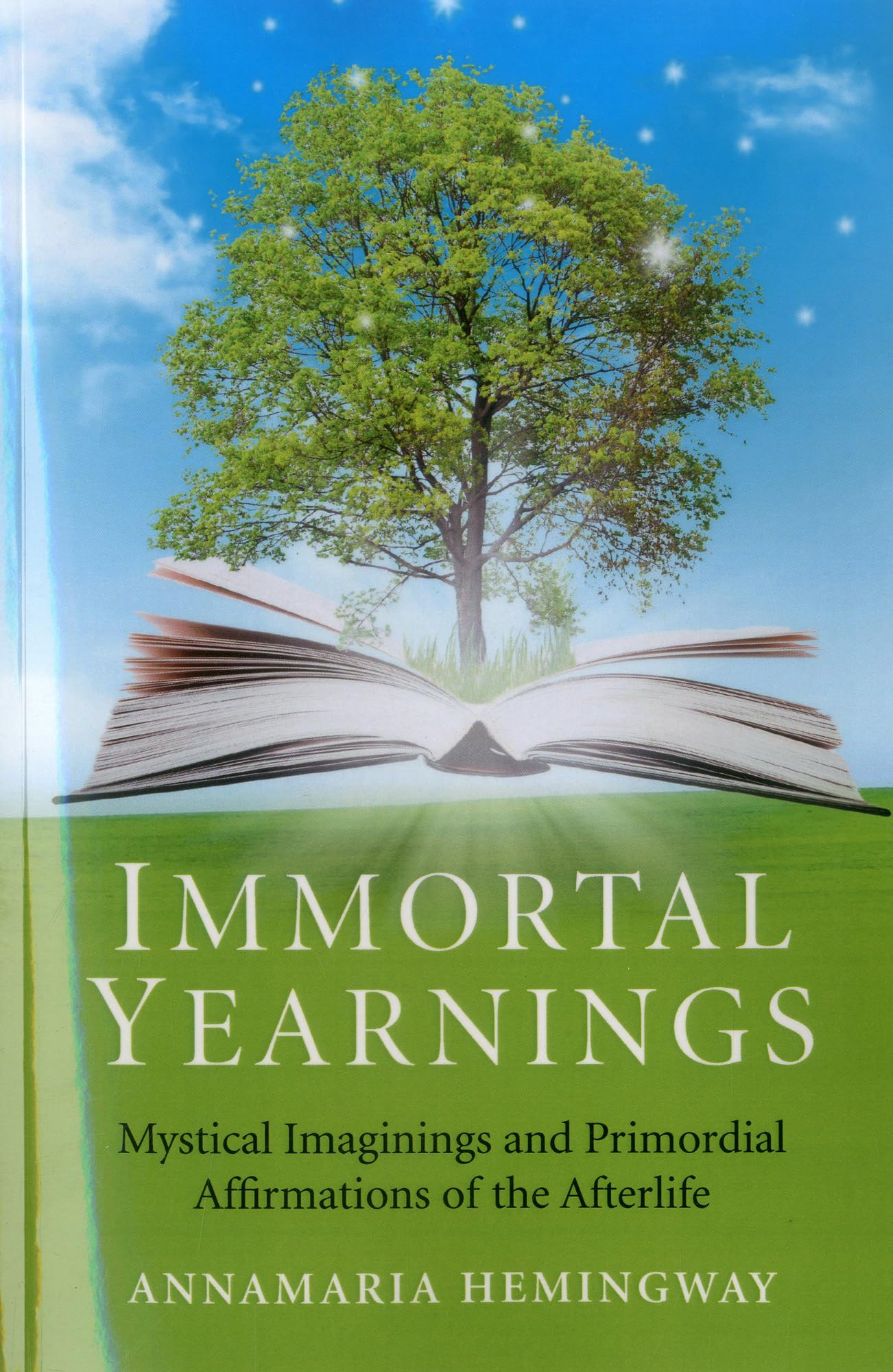Immortal Yearnings: Mystical Imaginings And Primordial Affirmations Of The Afterlife,Used