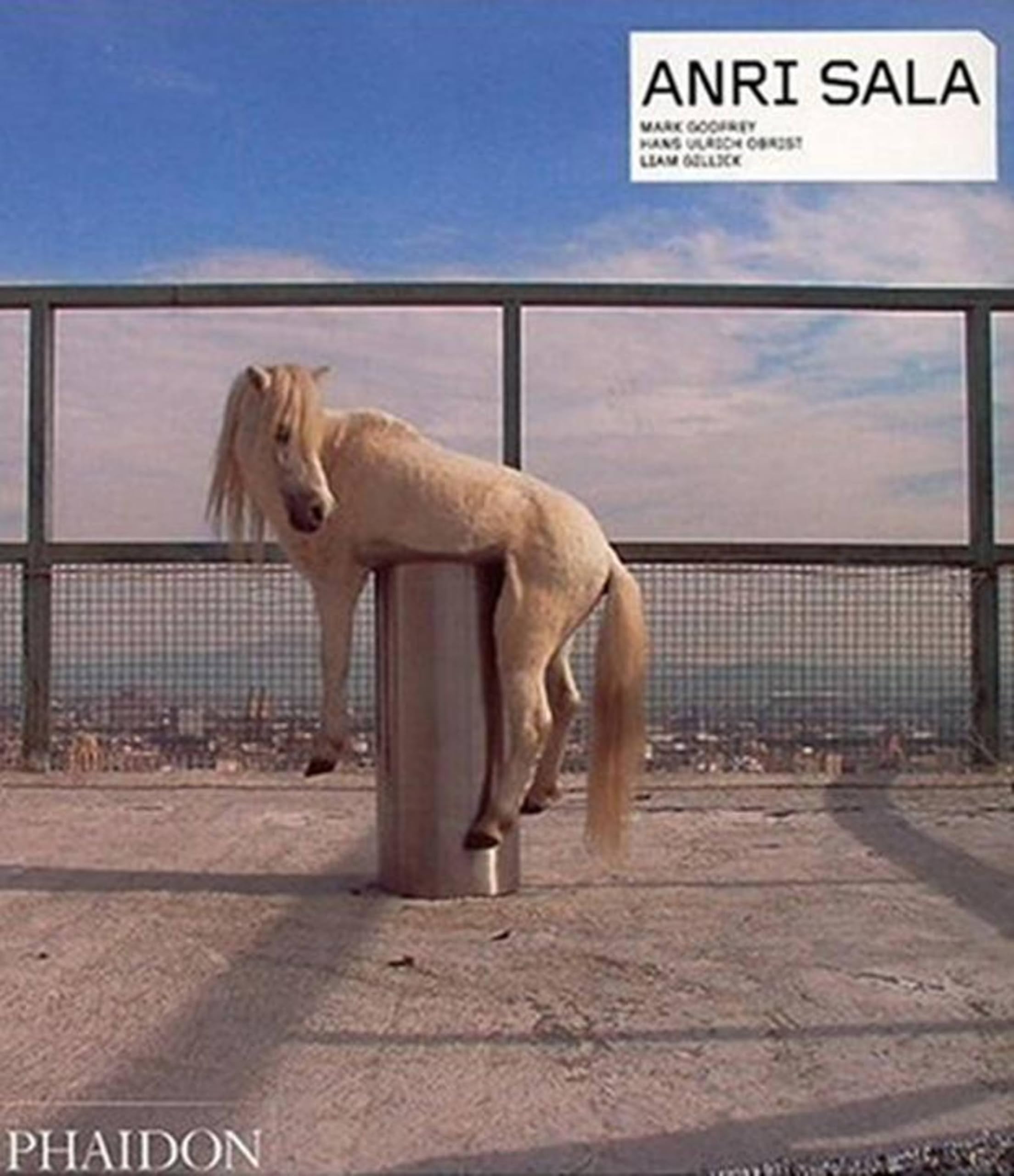 Anri Sala (Phaidon Contemporary Artists Series)