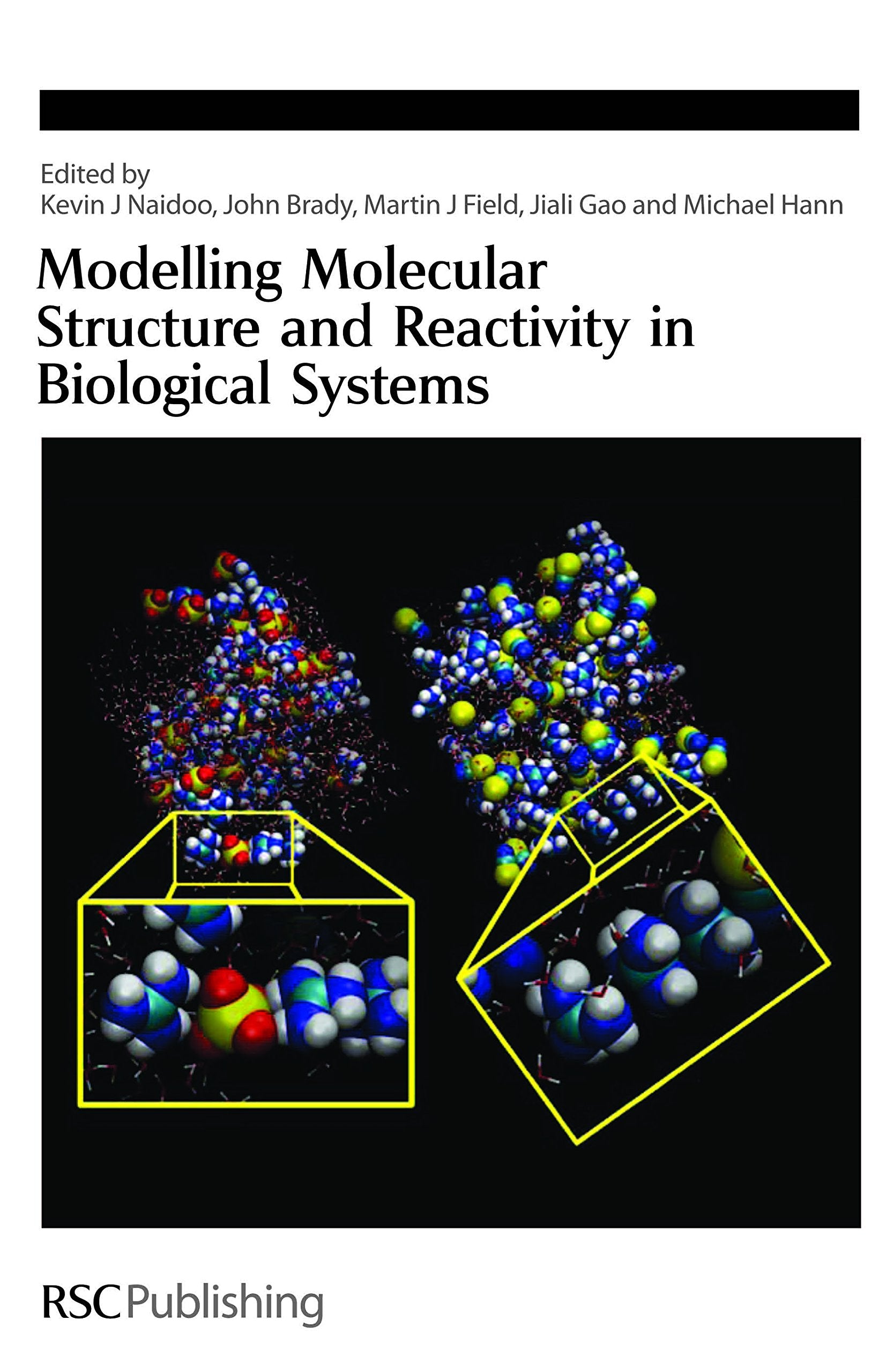 Modelling Molecular Structure and Reactivity in Biological Systems (Special Publications),Used