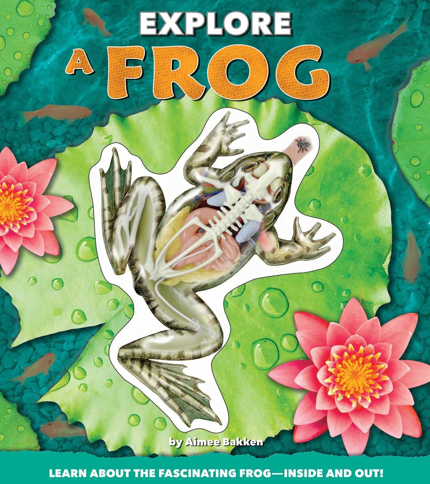 Explore a Frog,Used