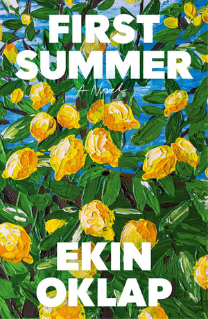 First Summer: A Novel
