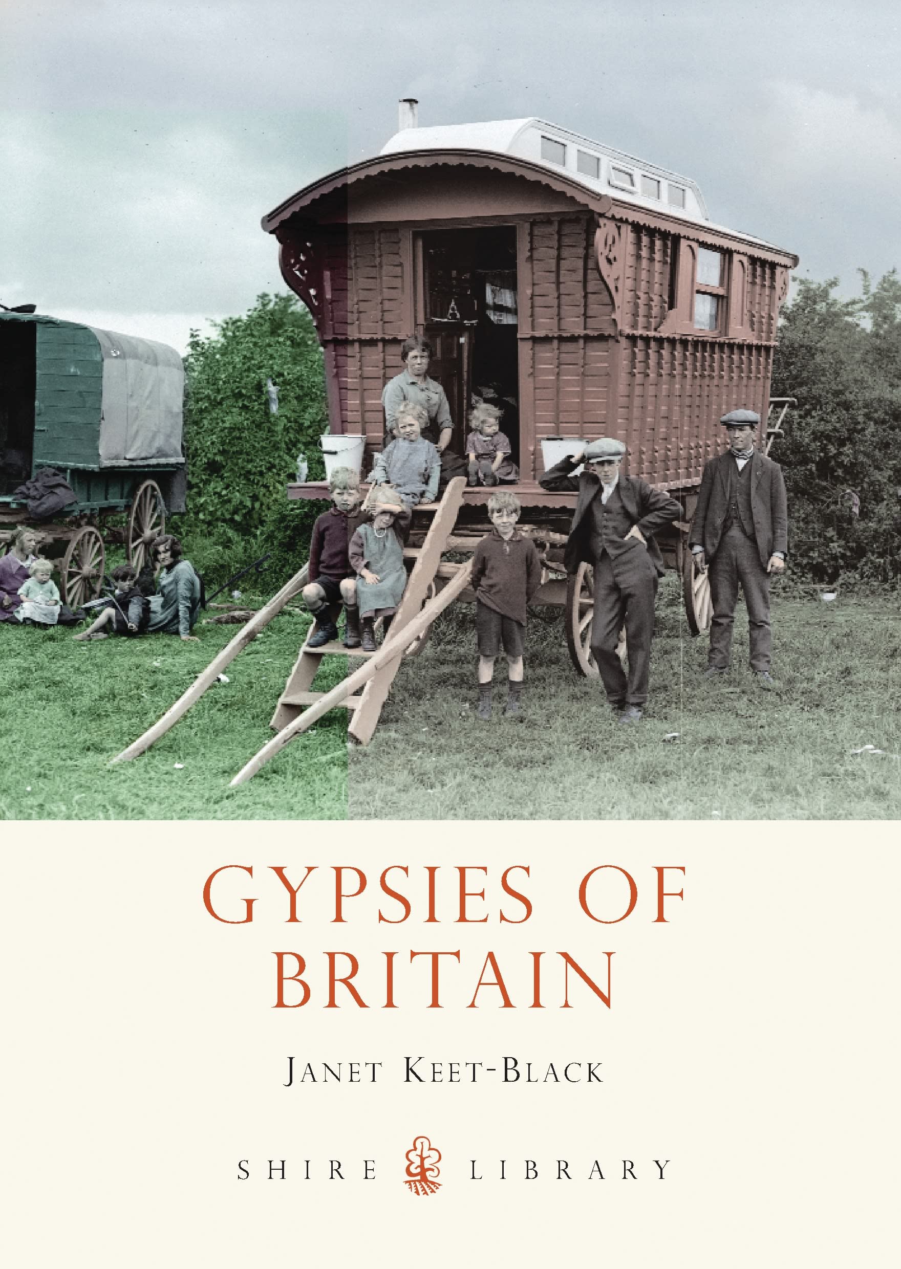 Gypsies Of Britain (Shire Library),Used