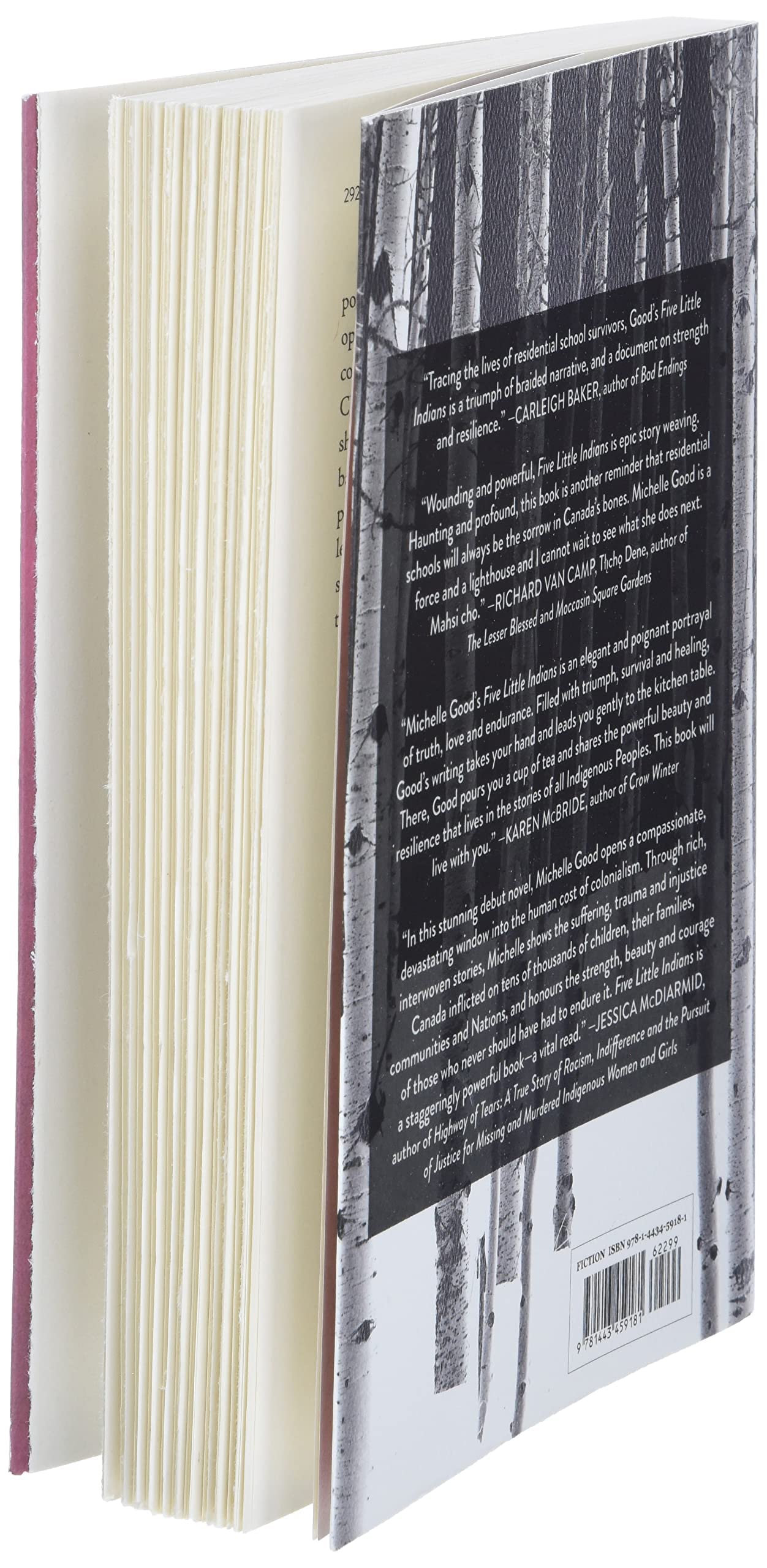 Five Little Indians: A Novel