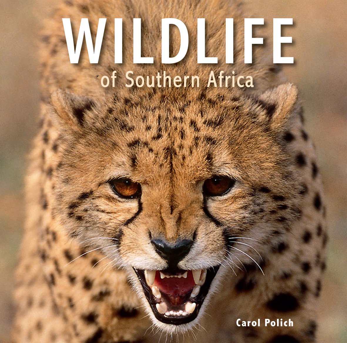 Wildlife of Southern Africa,Used