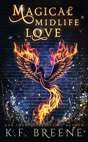 Magical Midlife Love (Leveling Up),Used