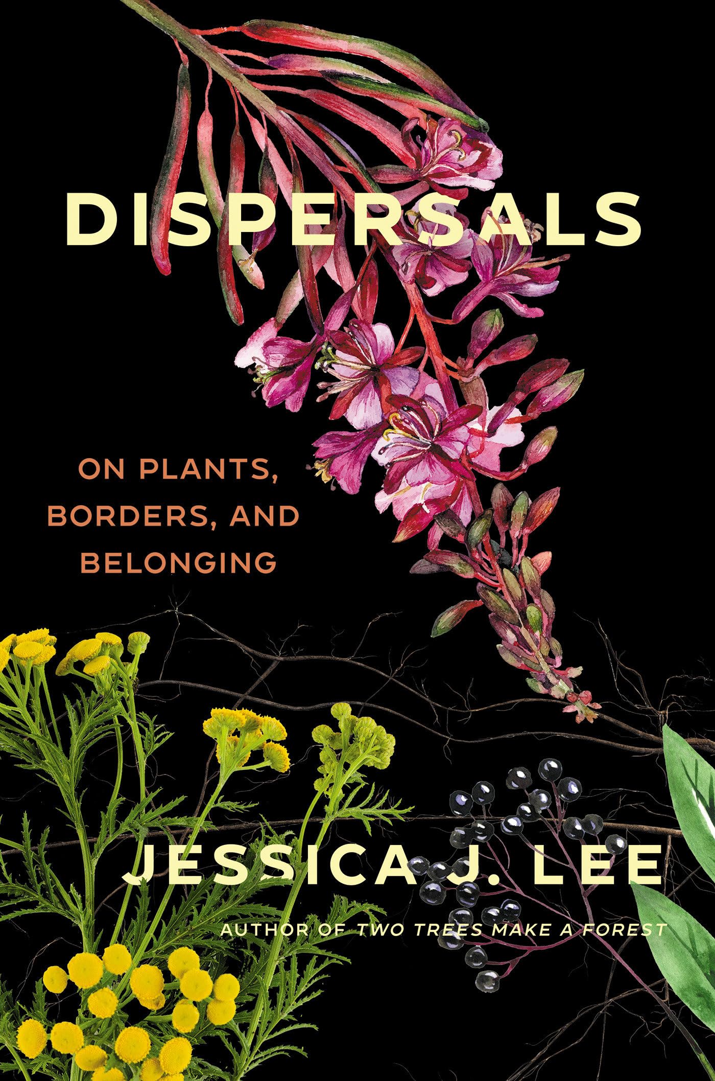 Dispersals: On Plants, Borders, And Belonging,Used