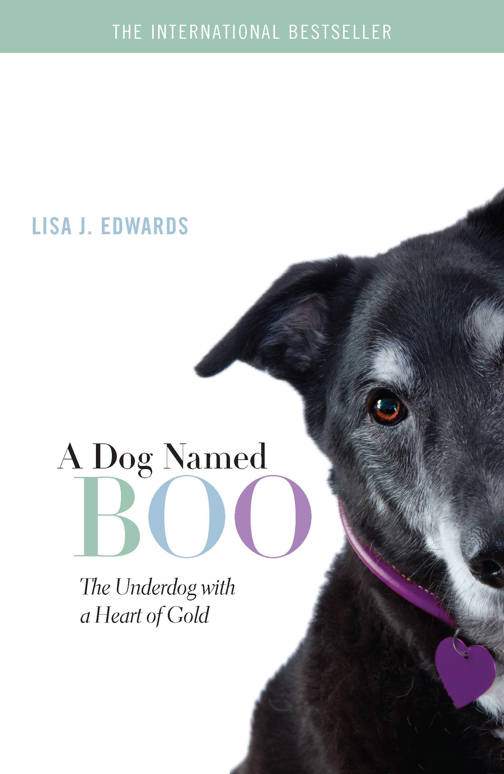 A Dog Named Boo: The Underdog with a Heart of Gold,Used