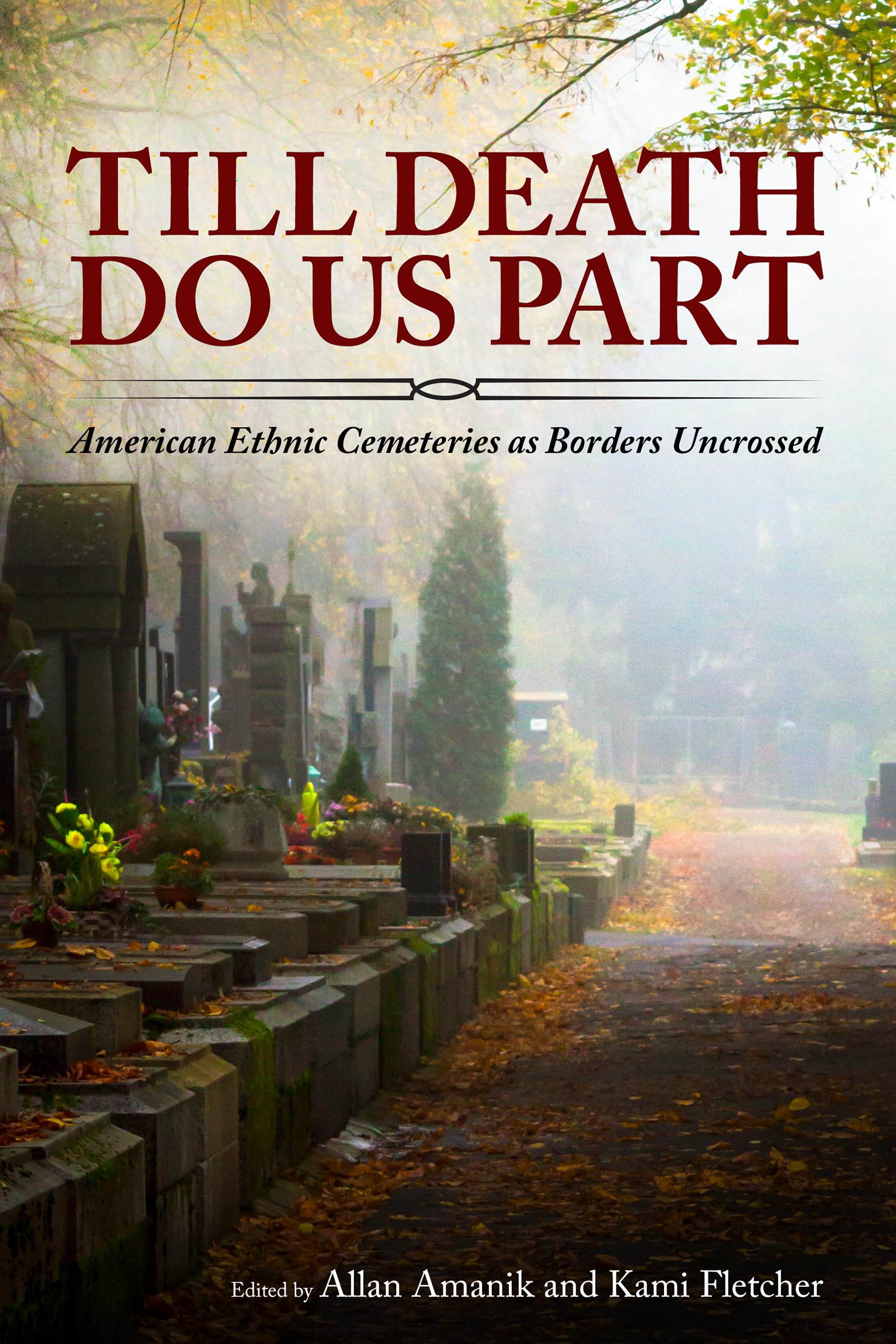 Till Death Do Us Part: American Ethnic Cemeteries as Borders Uncrossed,Used