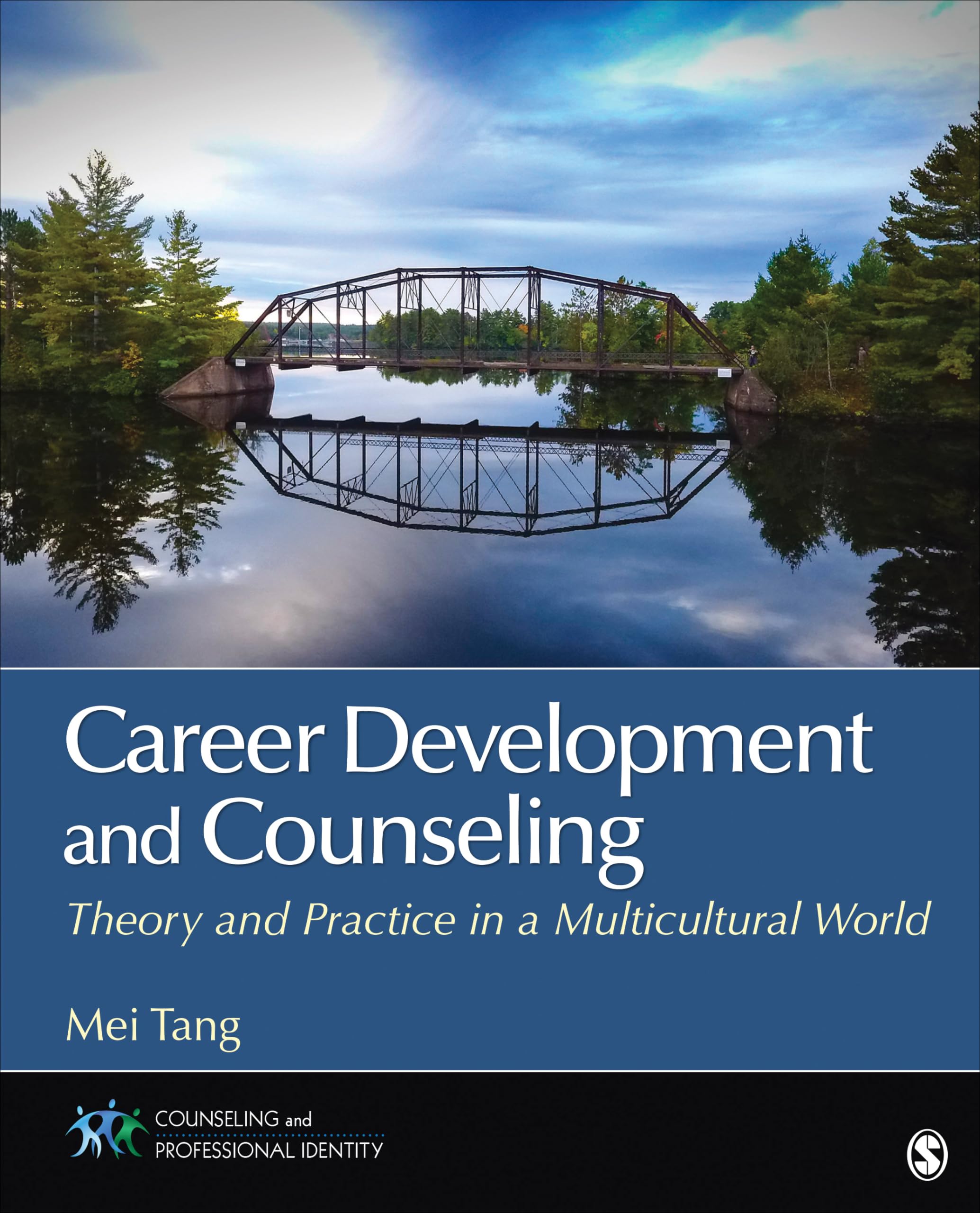 Career Development and Counseling: Theory and Practice in a Multicultural World (Counseling and Professional Identity),Used