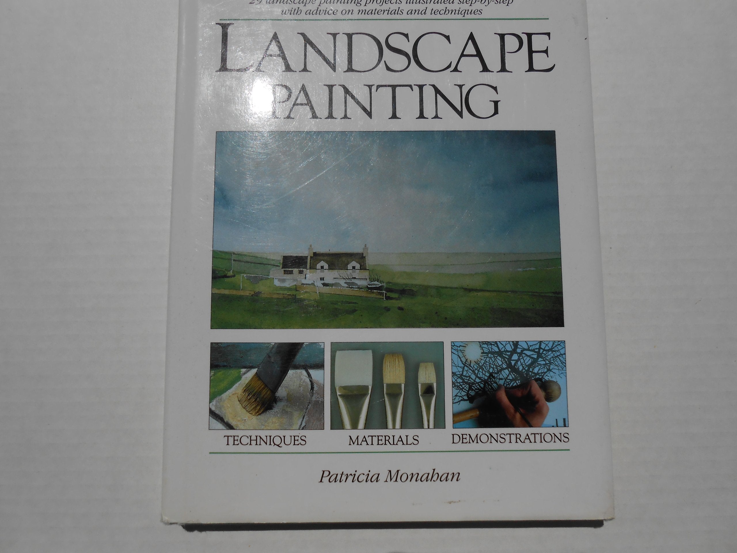 Landscape Painting: 29 Landscape Painting Projects Illustrated Stepbystep With Advice On Materials And Techniques