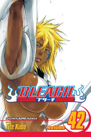 Bleach, Vol. 42,New