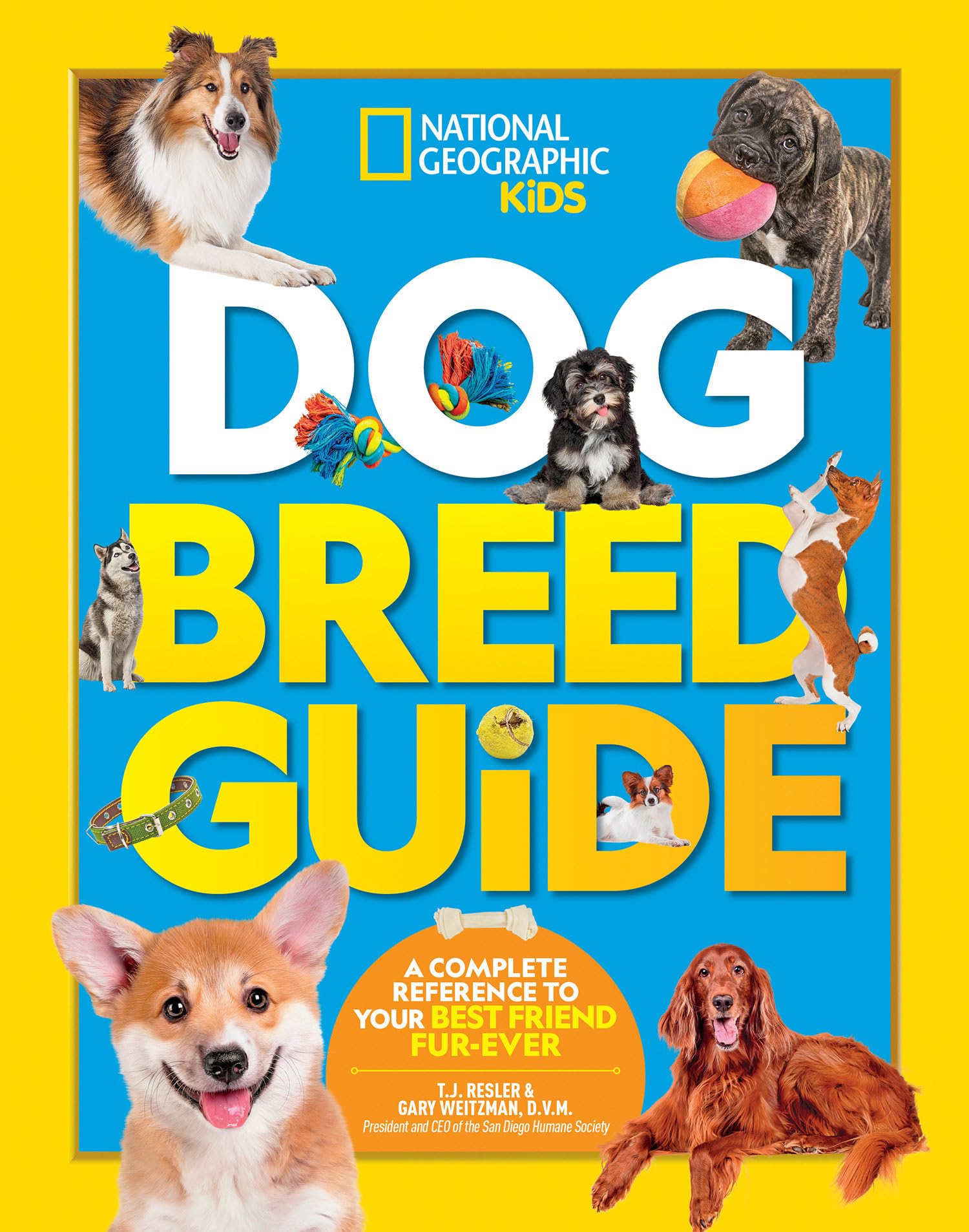 Dog Breed Guide: A complete reference to your best friend furever,Used