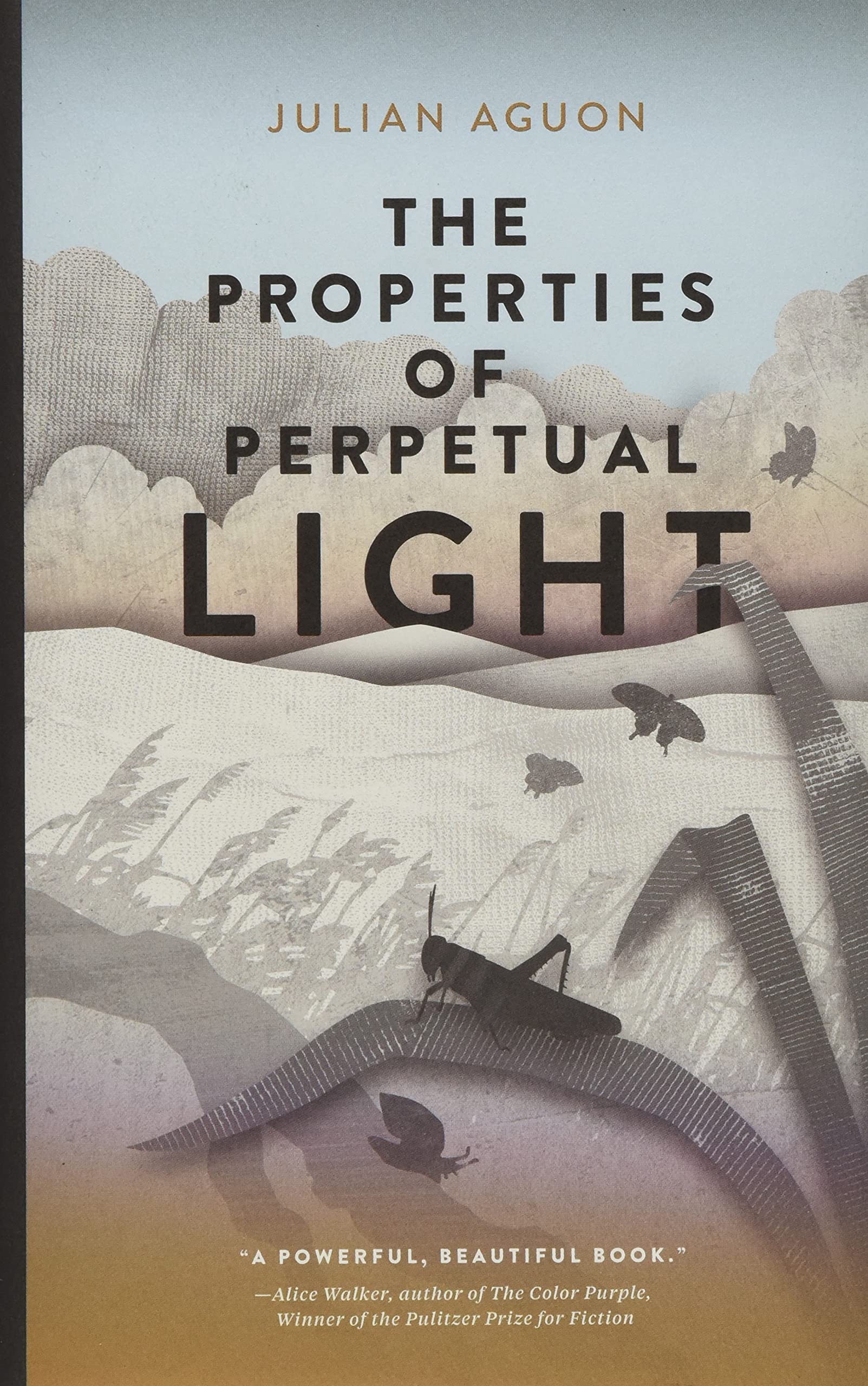 The Properties of Perpetual Light,Used
