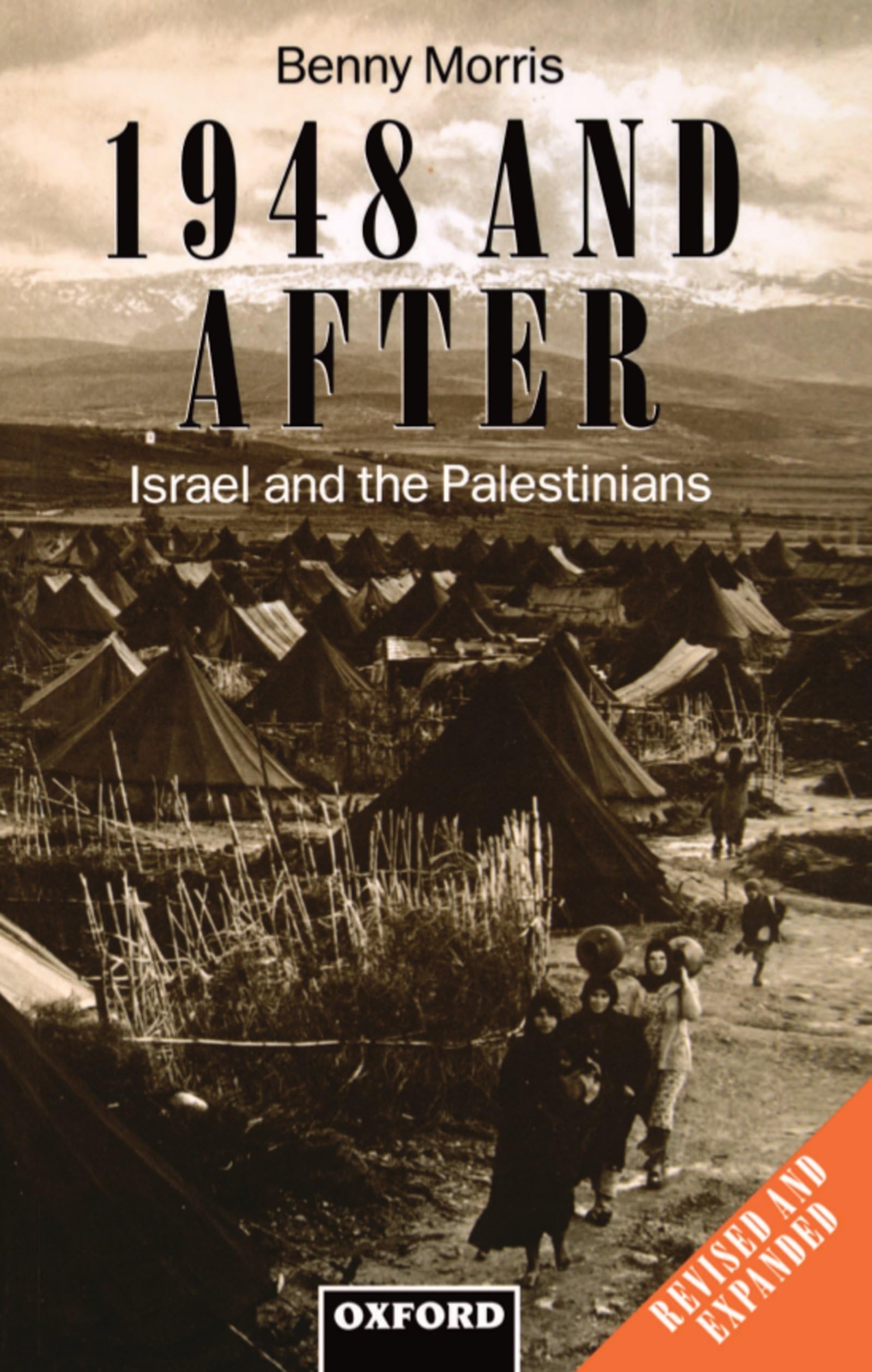 1948 and After: Israel and the Palestinians (Clarendon Paperbacks),Used