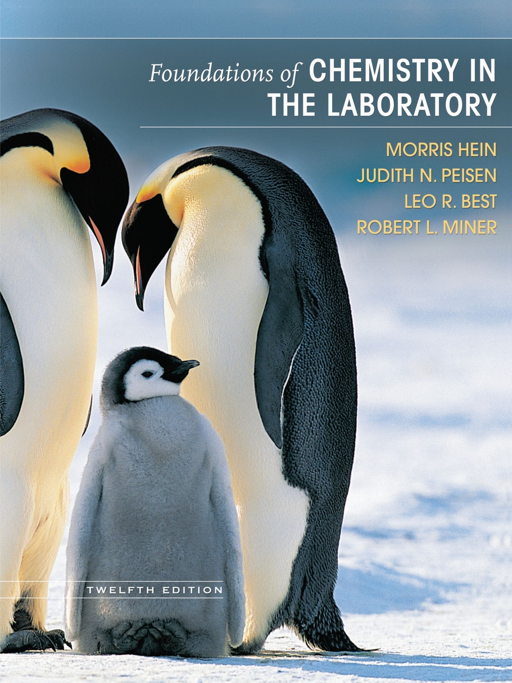 Foundations Chemistry In The Laboratory 12E,Used