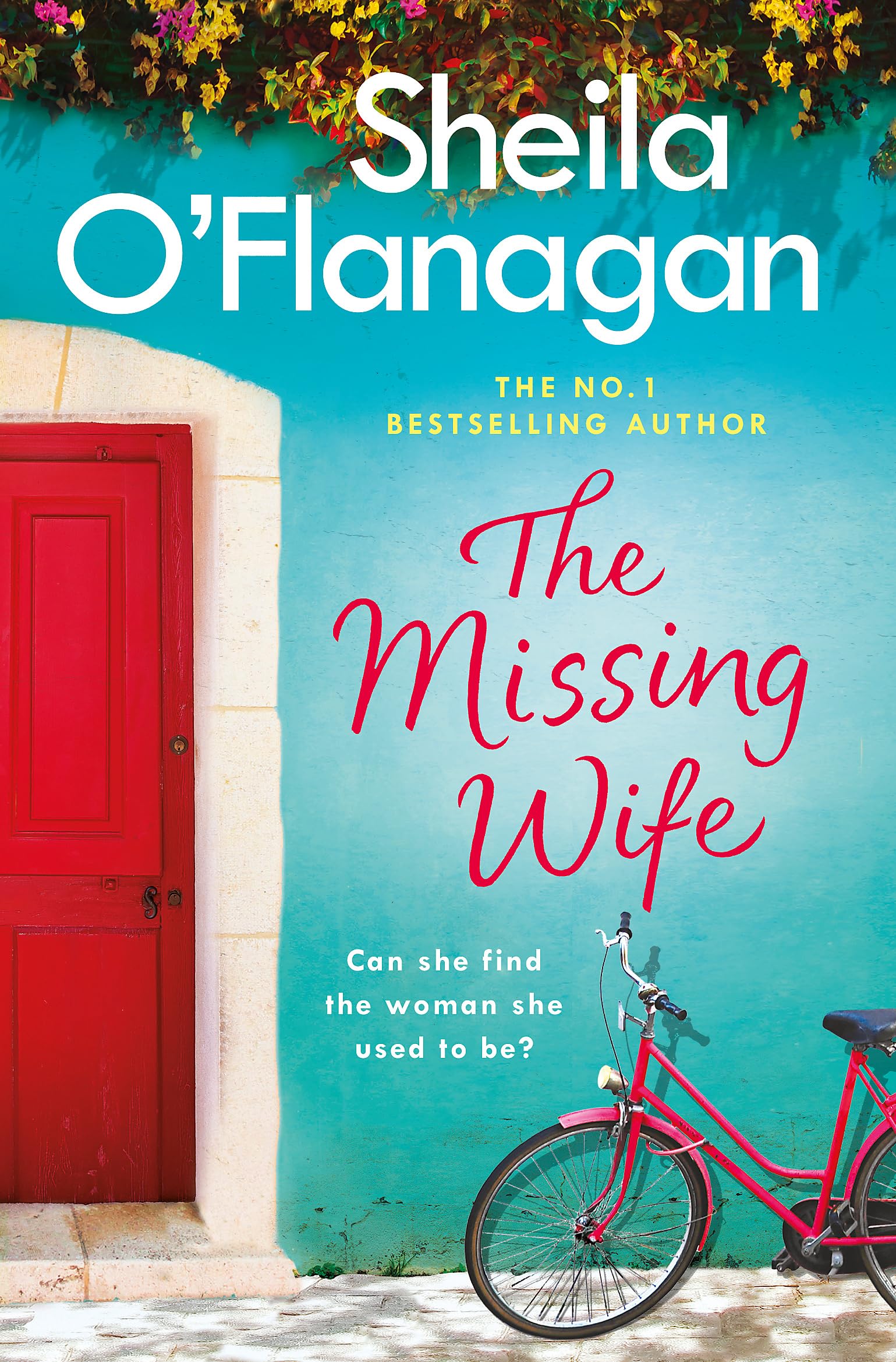 Missing Wife,New