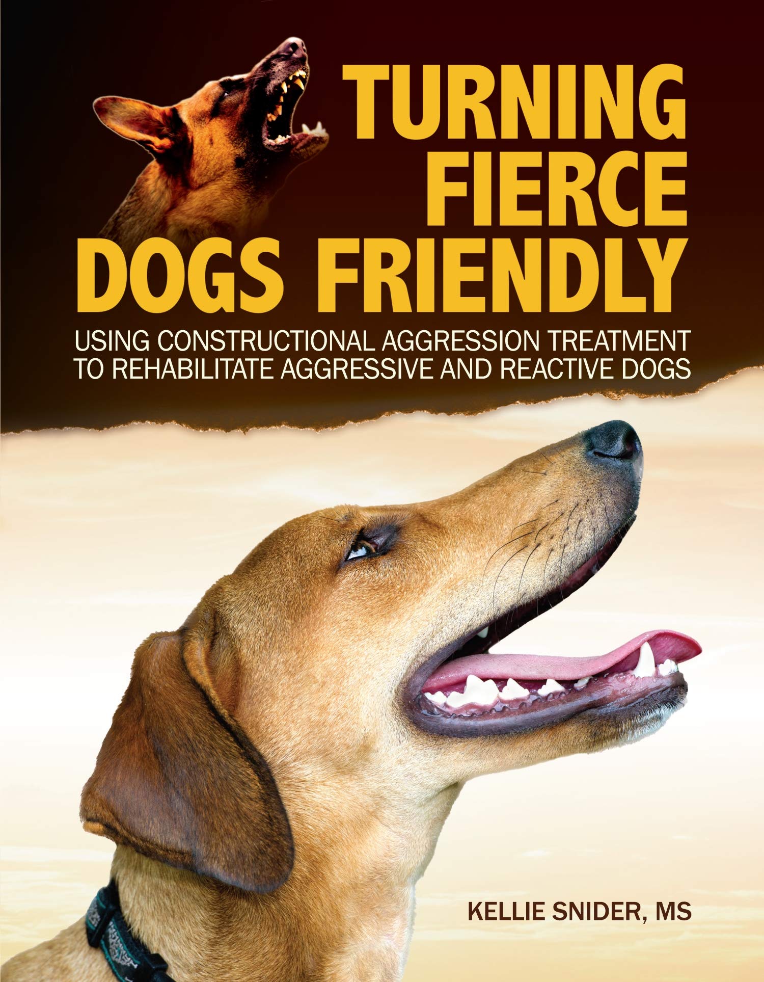 Turning Fierce Dogs Friendly: Using Constructional Aggression Treatment to Rehabilitate Aggressive and Reactive Dogs (CompanionH