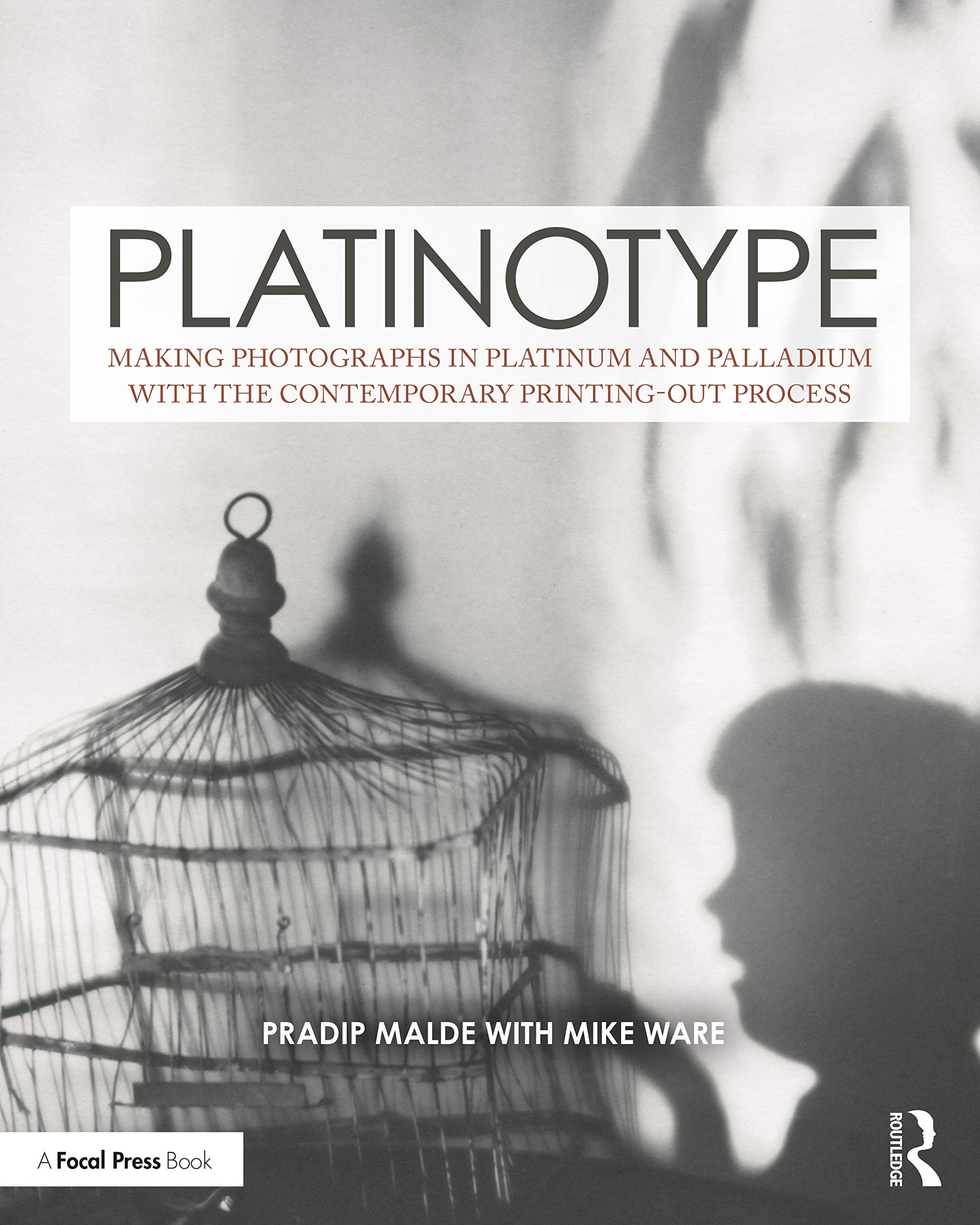 Platinotype: Making Photographs in Platinum and Palladium with the Contemporary Printingout Process (Contemporary Practices in ,Used